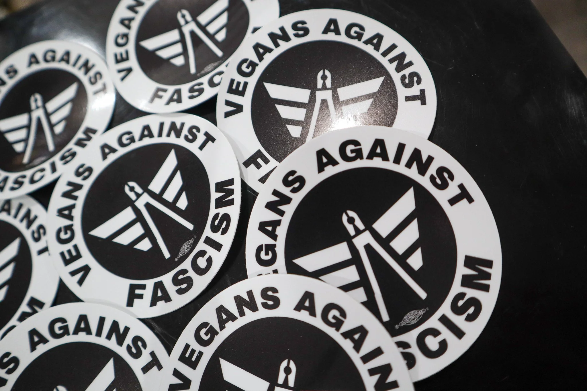 Sticker Merch-2.jpg