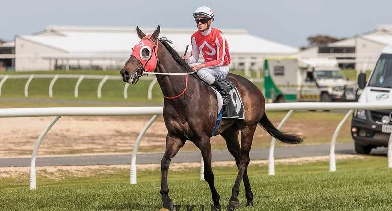 &spades;️ Great to see big boy Angland back in the winners stall for the Ace Bloodstock ownership group and @pricekentracing ! A 2L win at @murray.bridge.racing.club 

Thanks to @lachyneindorf for the ride !

#RaceWithAce #jointhethrill