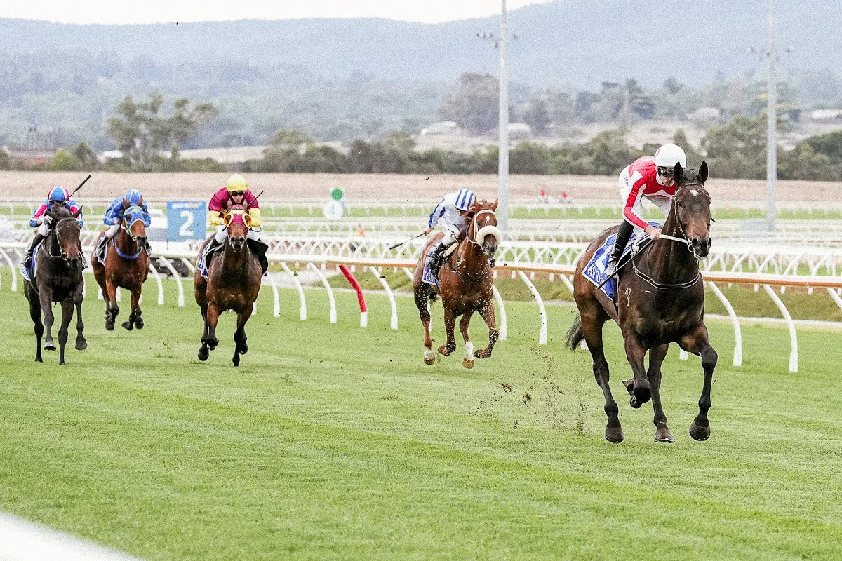 Stable & Ownership Opportunities — Ace Bloodstock | Horse Racing Syndicate