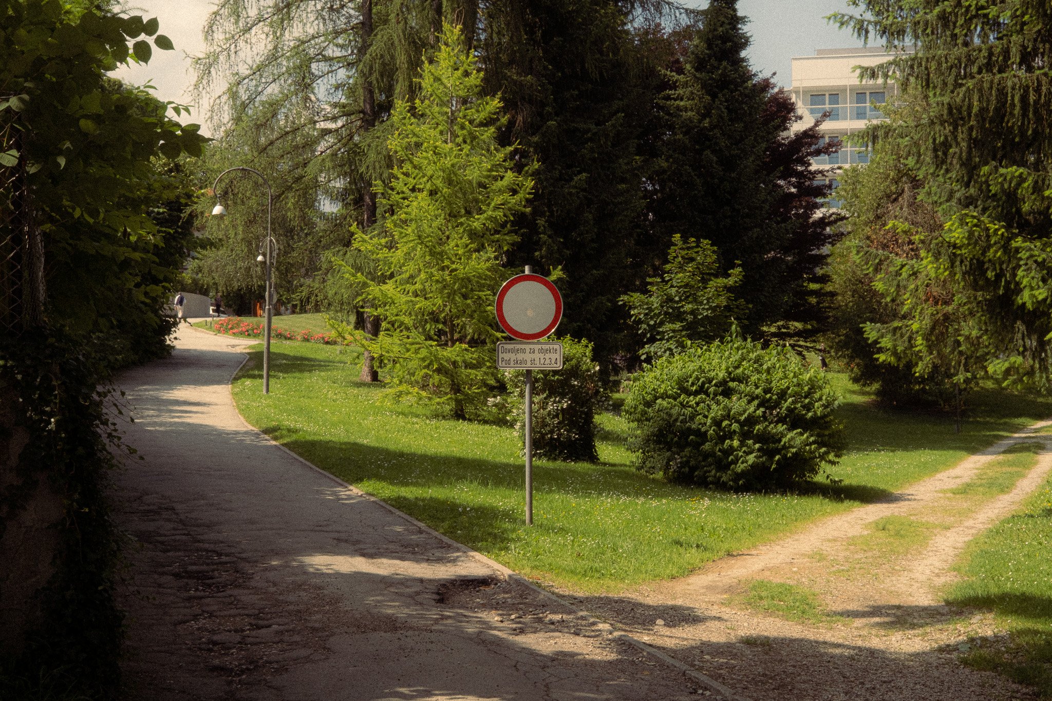 DSCF0825-2.jpg