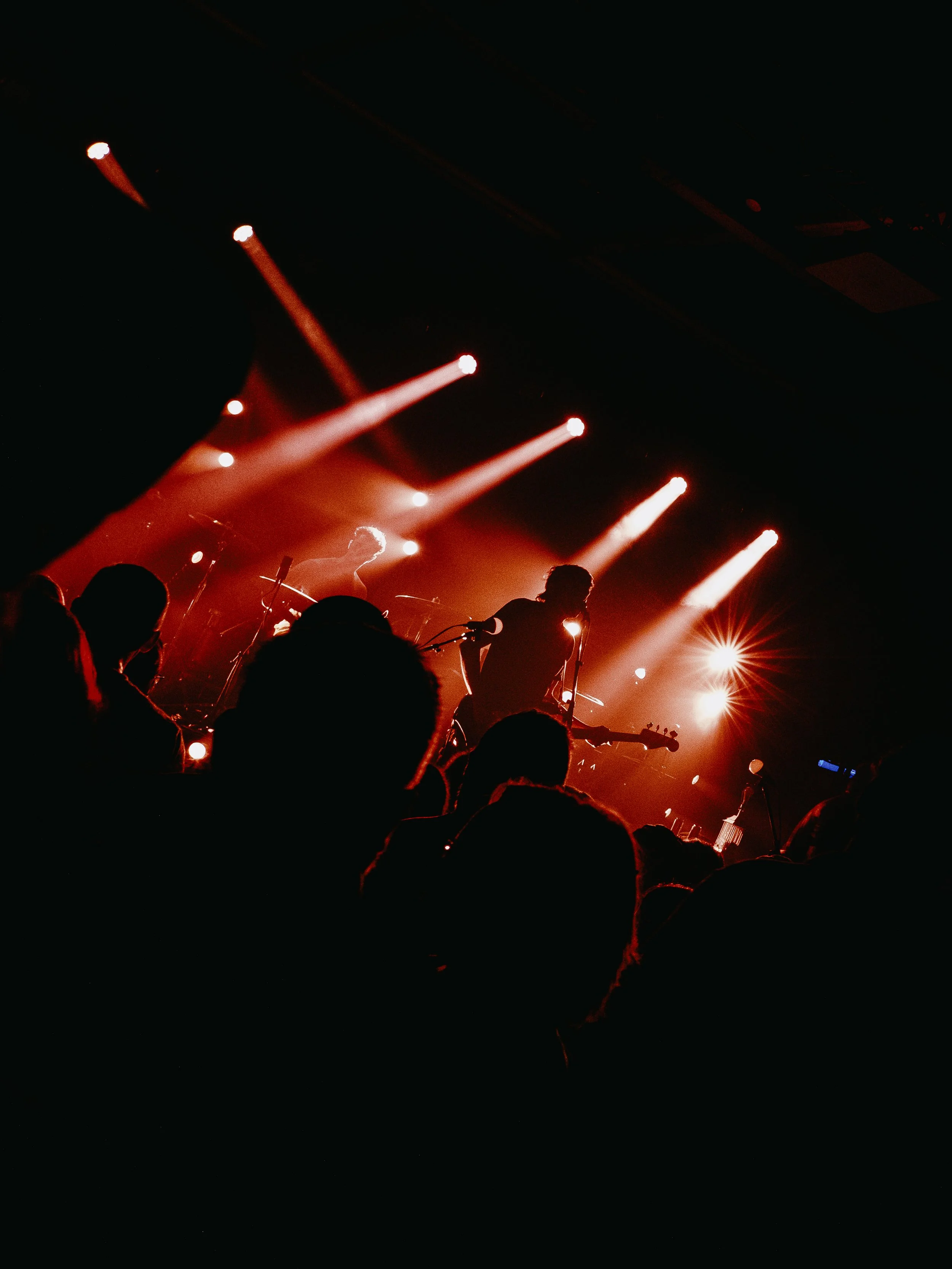 DSCF0483.jpg