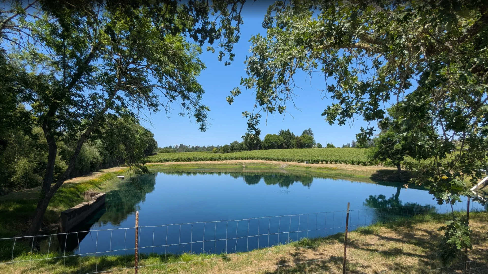Camino de Sonoma Pilgrimage-Stage 4
