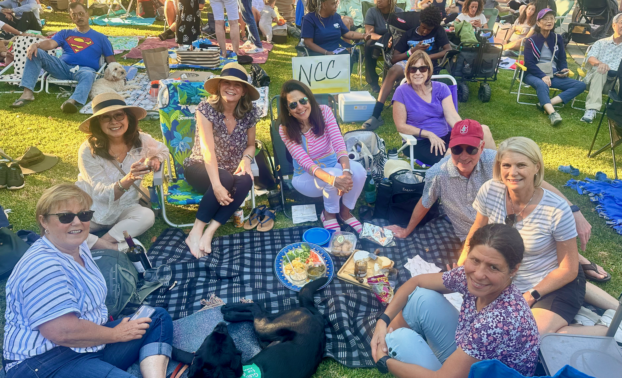 Concert in the Park