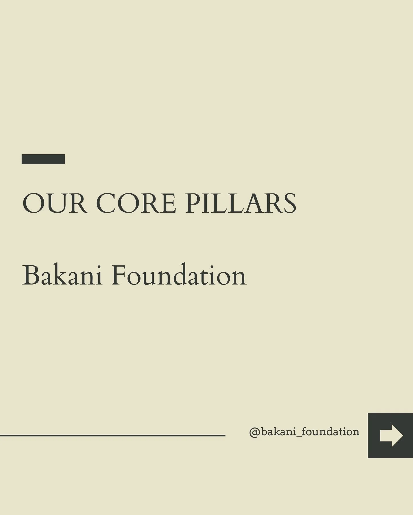 At Bakani, we are guided by 4 pillars:
- Heritage
- The Arts
- Dialogue
- Sustainability

Visit link in bio to read more