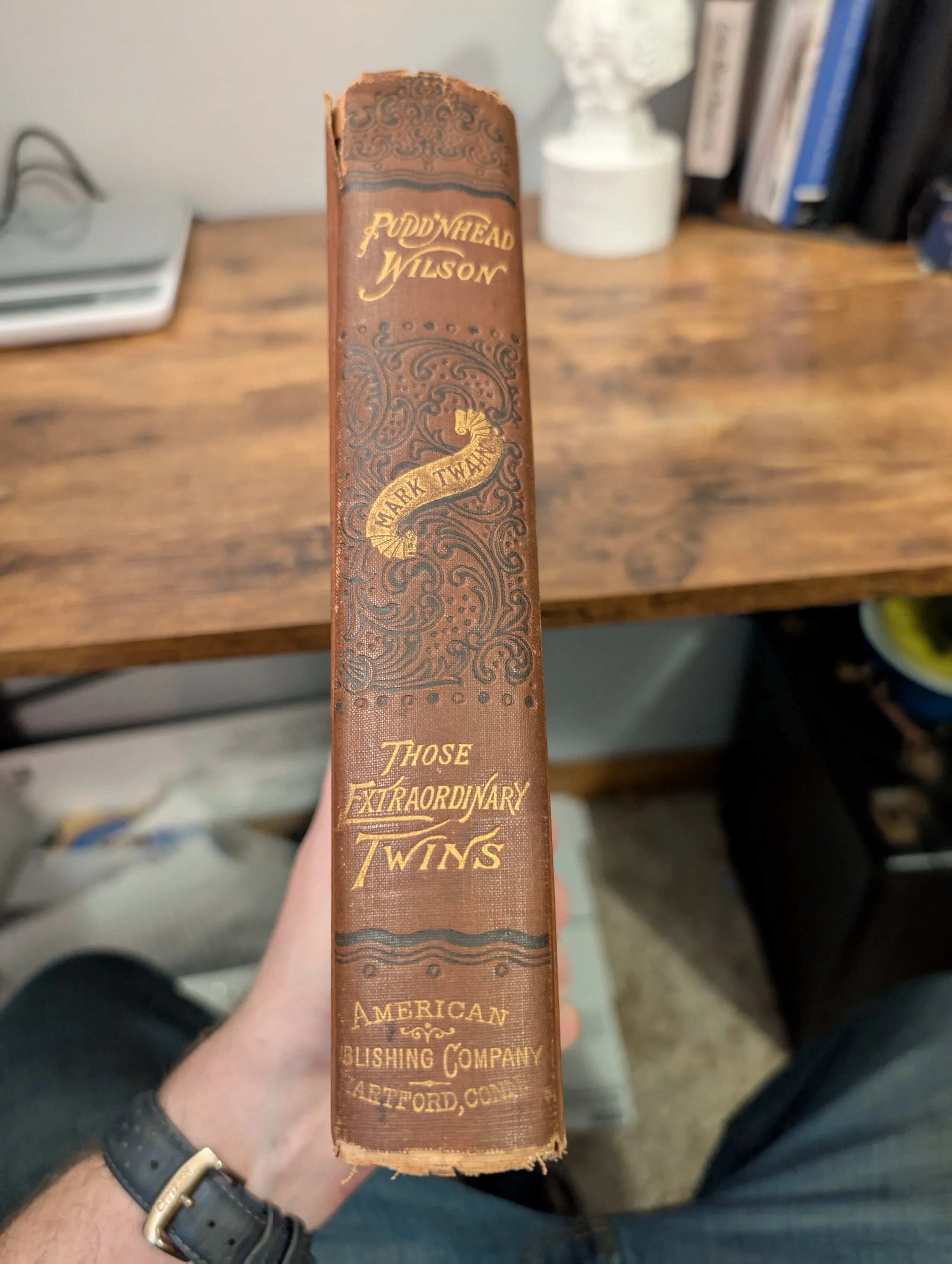 spine - Puddn'Head Wilson - mark twain - first edition