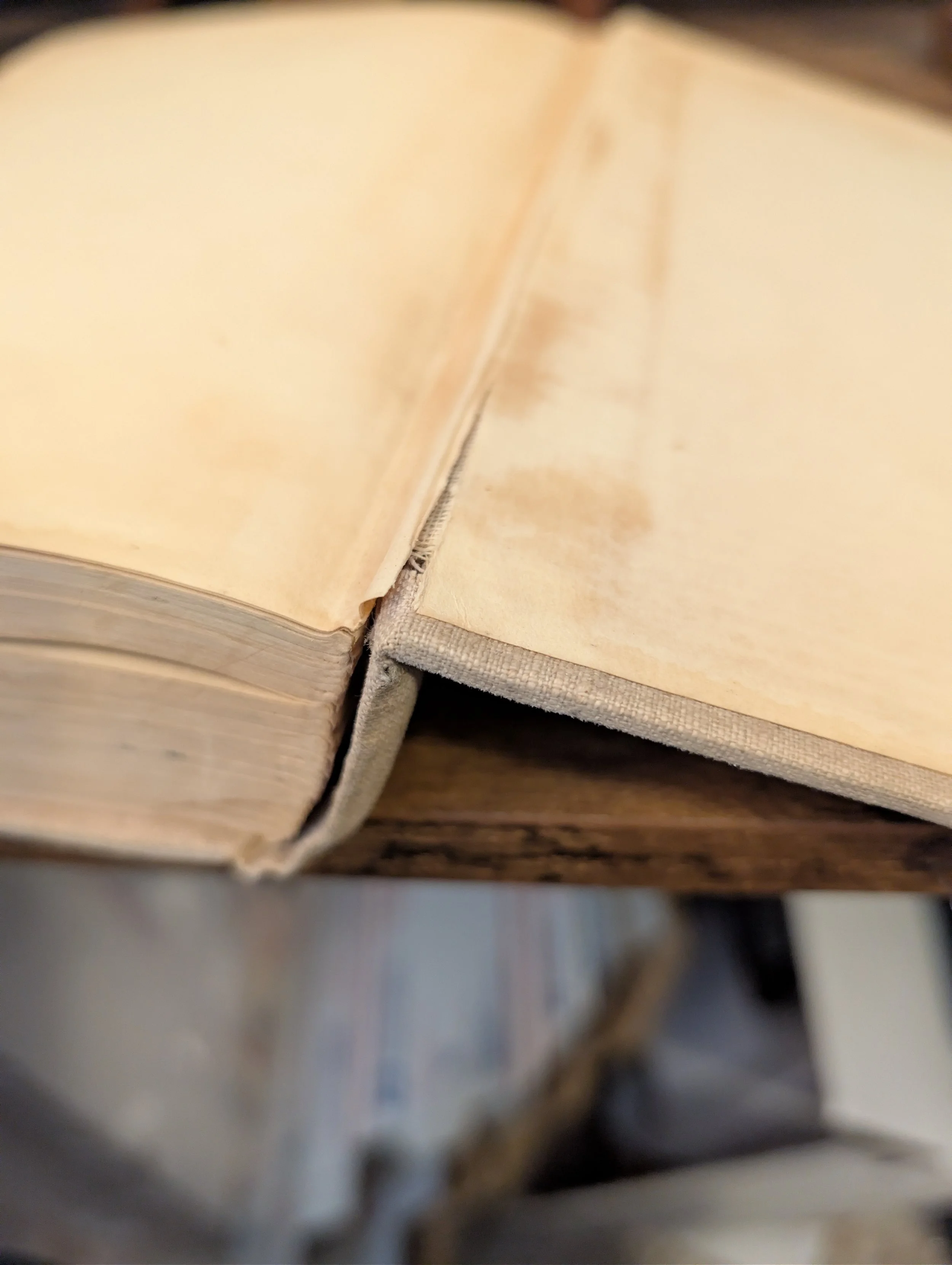 back board - for whom the bell tolls - first edition.jpg