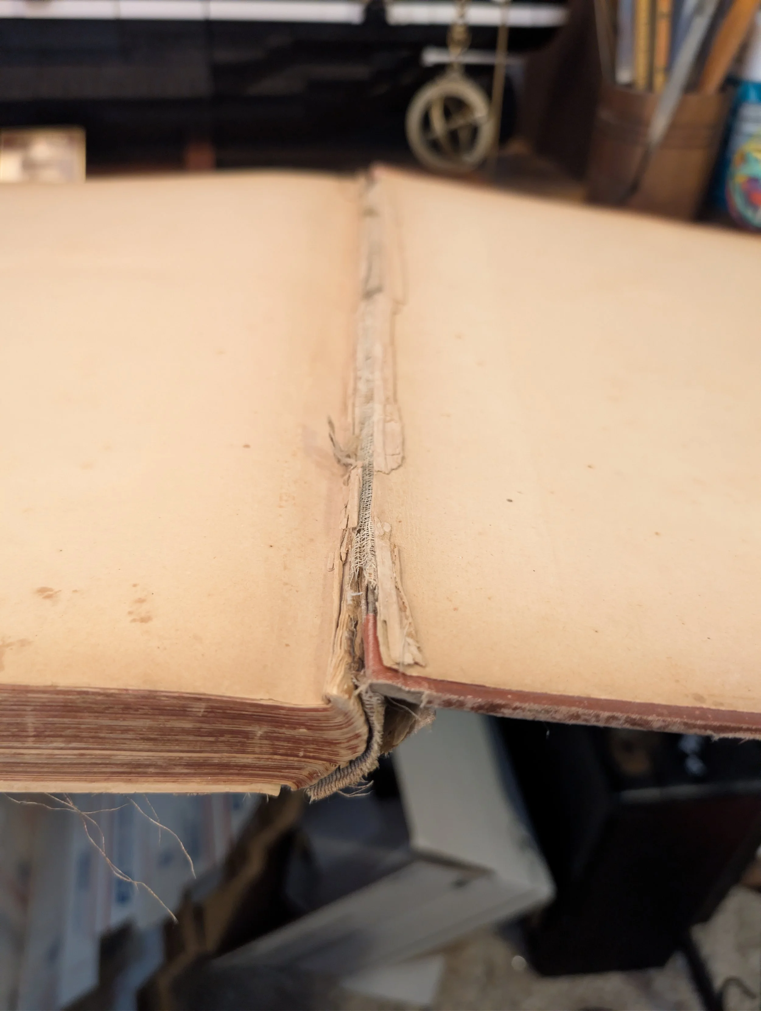 back board dante's inferno.jpg