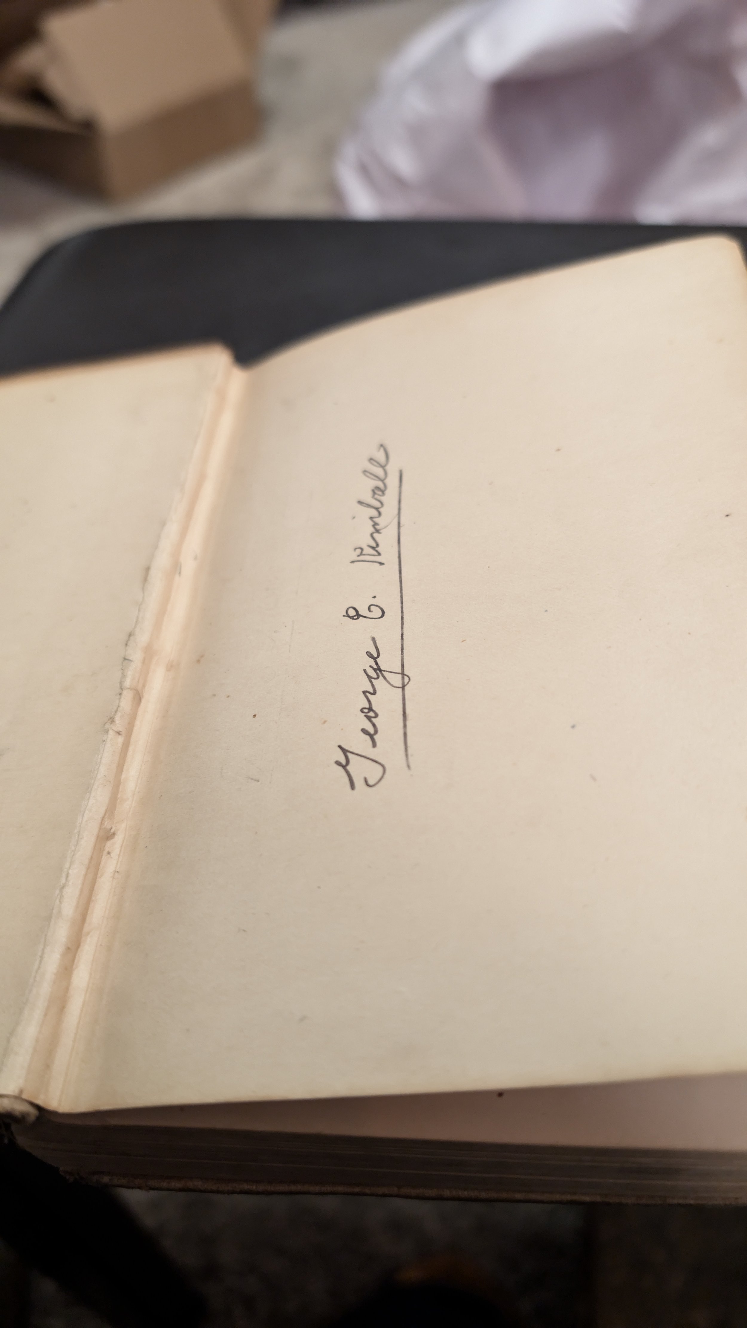 Collectible antiquarian book - The Stolen White Elephant by Mark Twain