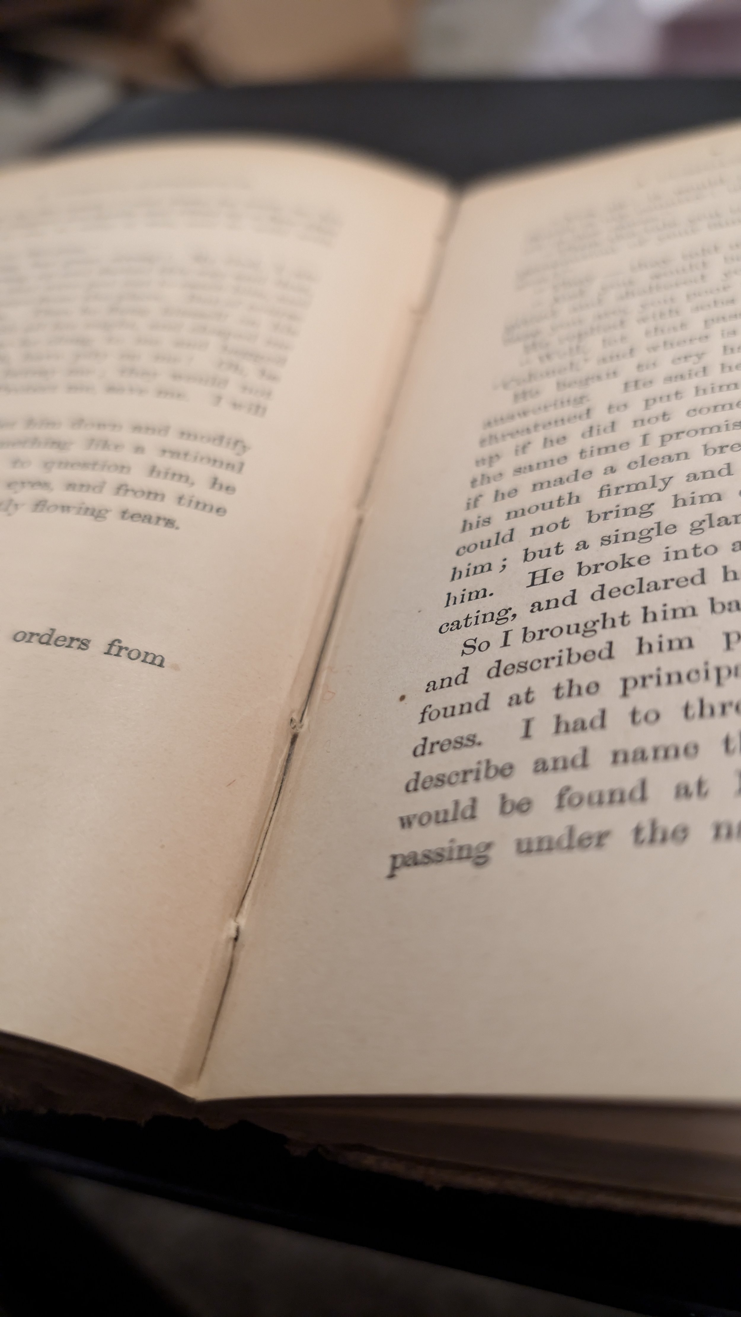 Antiquarian Book - The Stolen White Elephant - Mark Twain