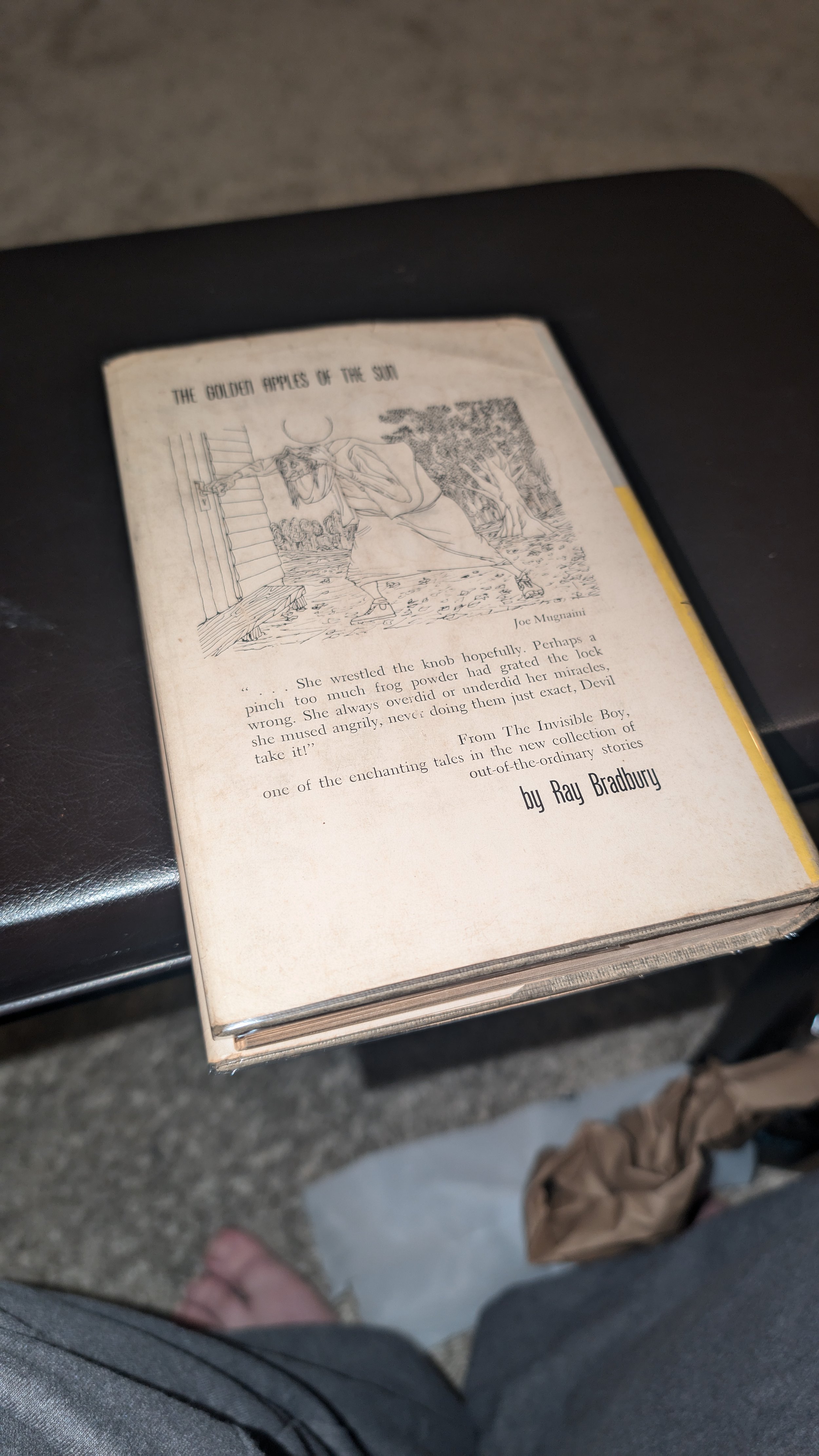 Antiquarian Book The Golden Apples of the Sun