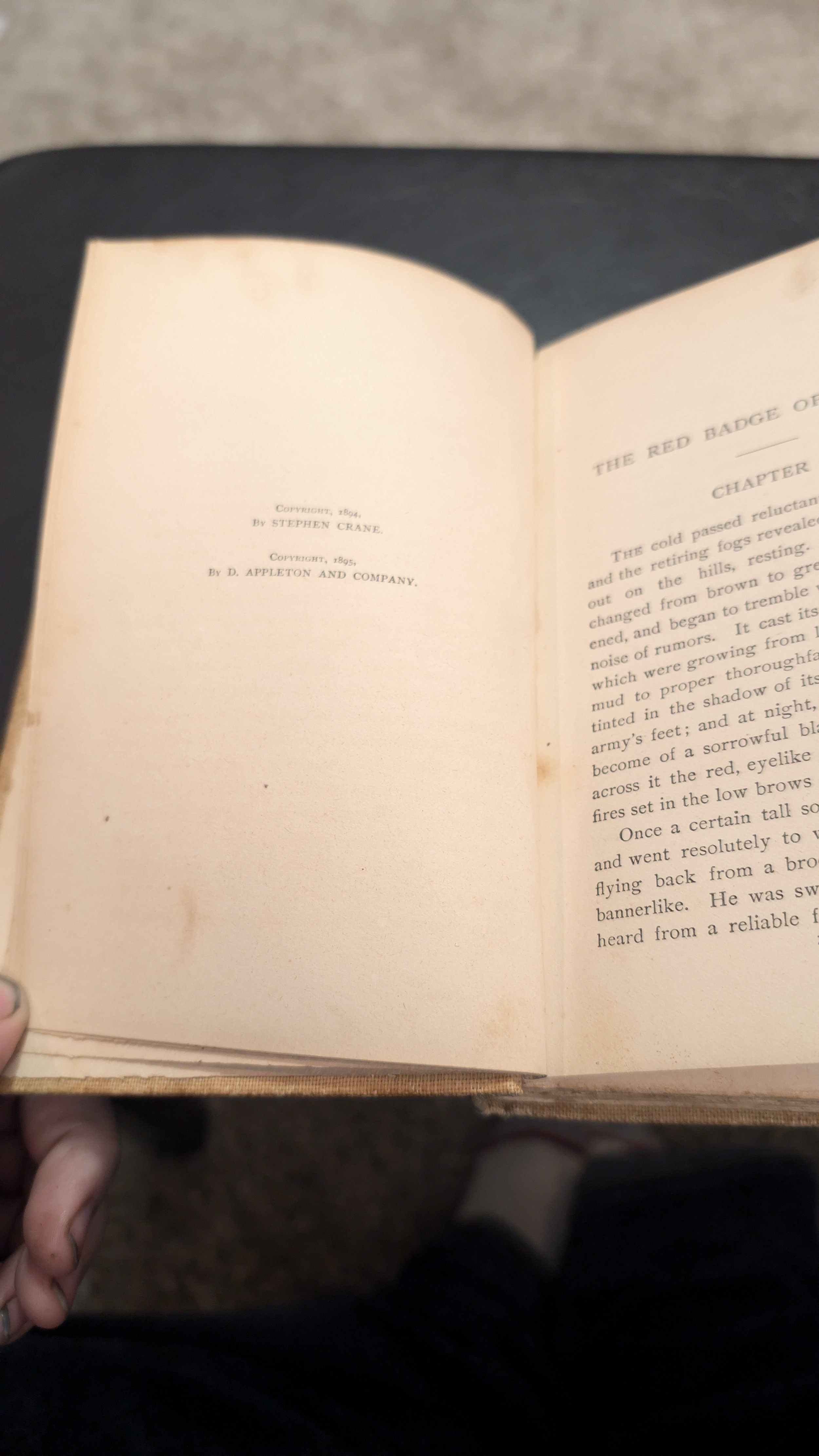 Antiquarian Red Badge of Courage Book