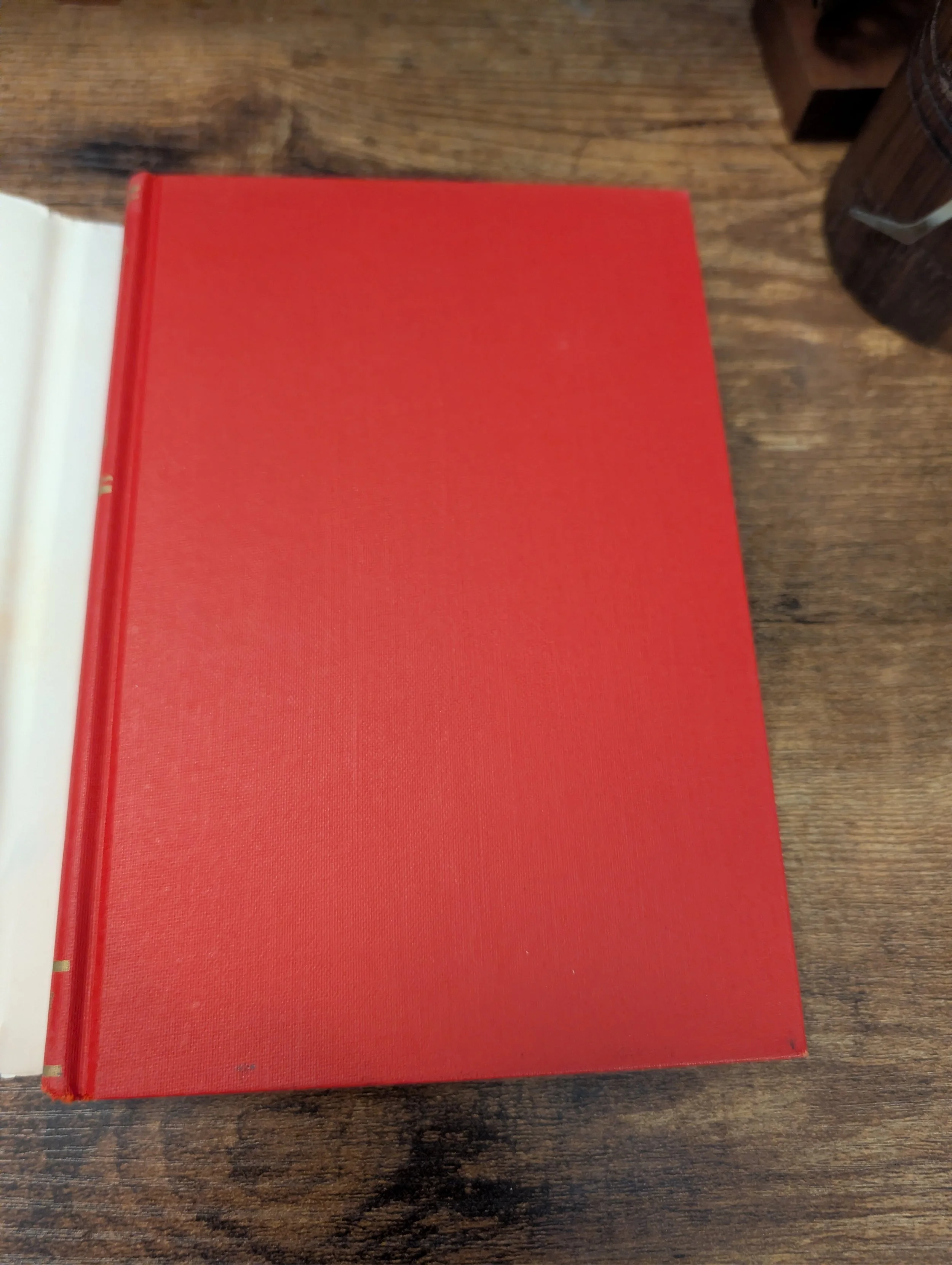 back board - tyrant of time.jpg