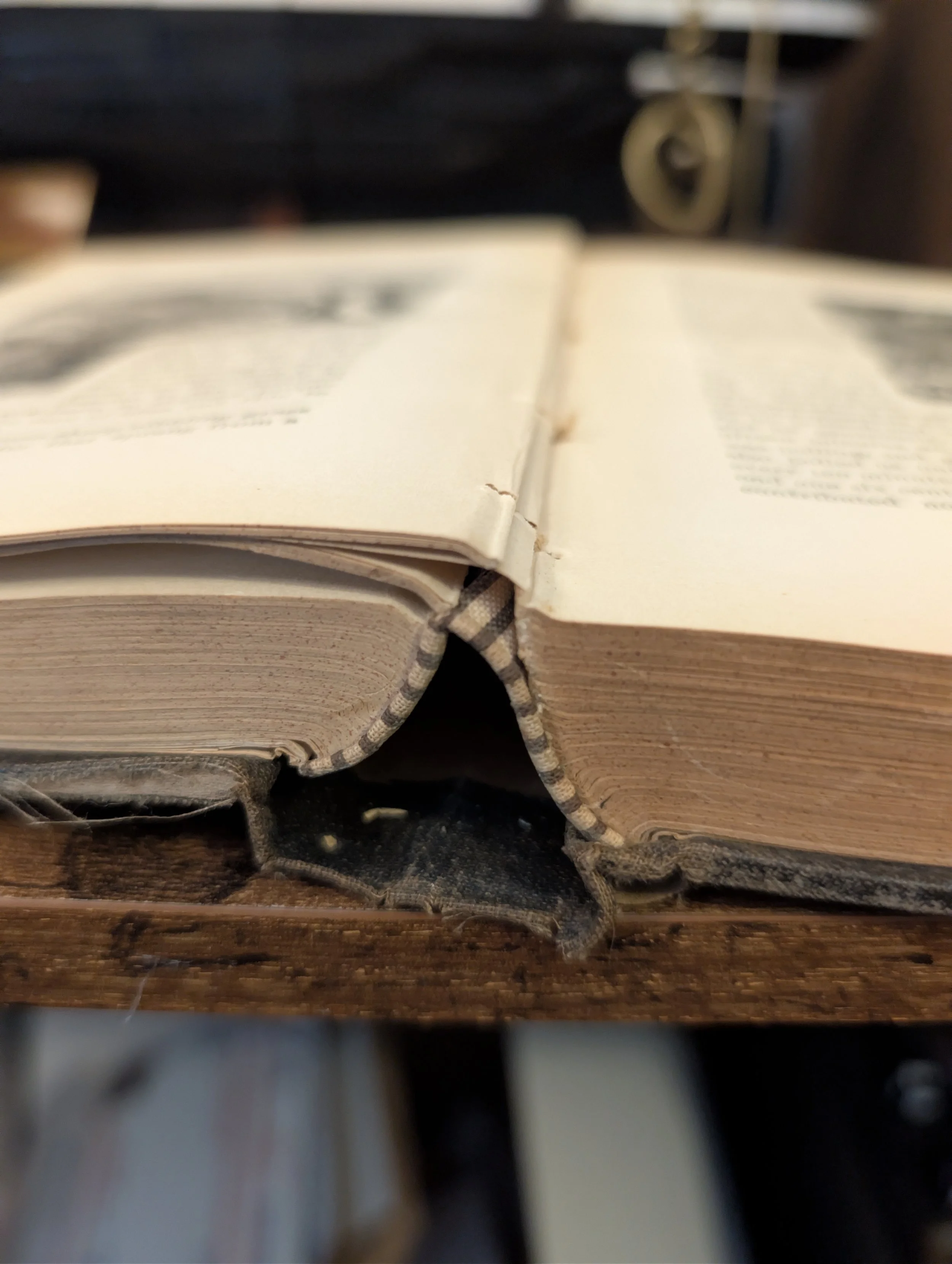 first edition a tramp abroad - loose binding.jpg