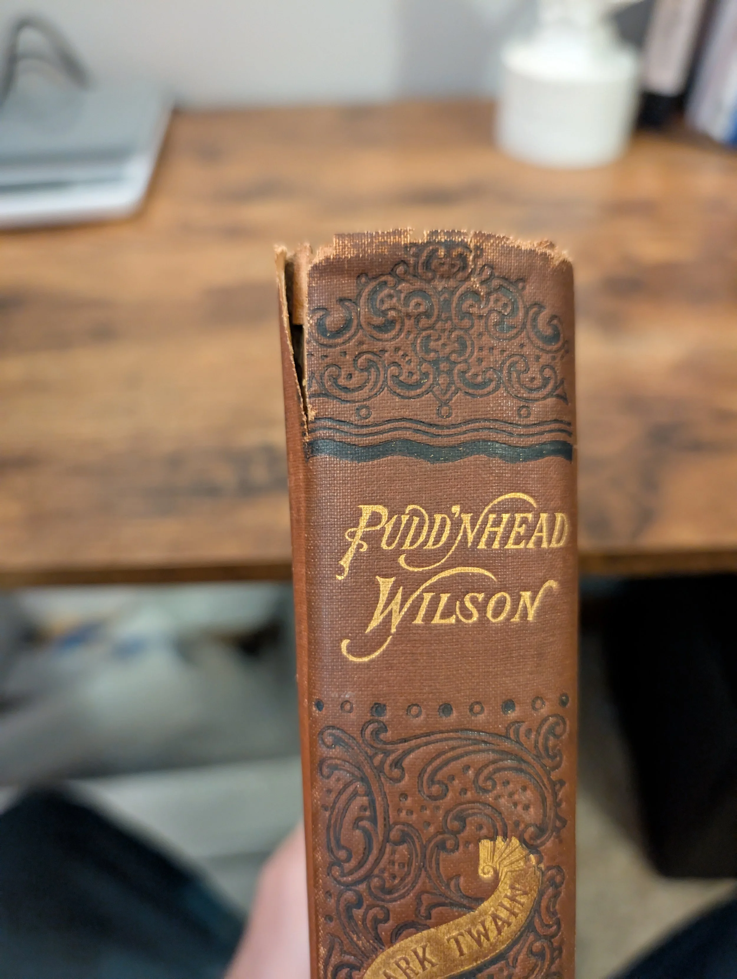 Puddn'Head Wilson - First Edition - binding