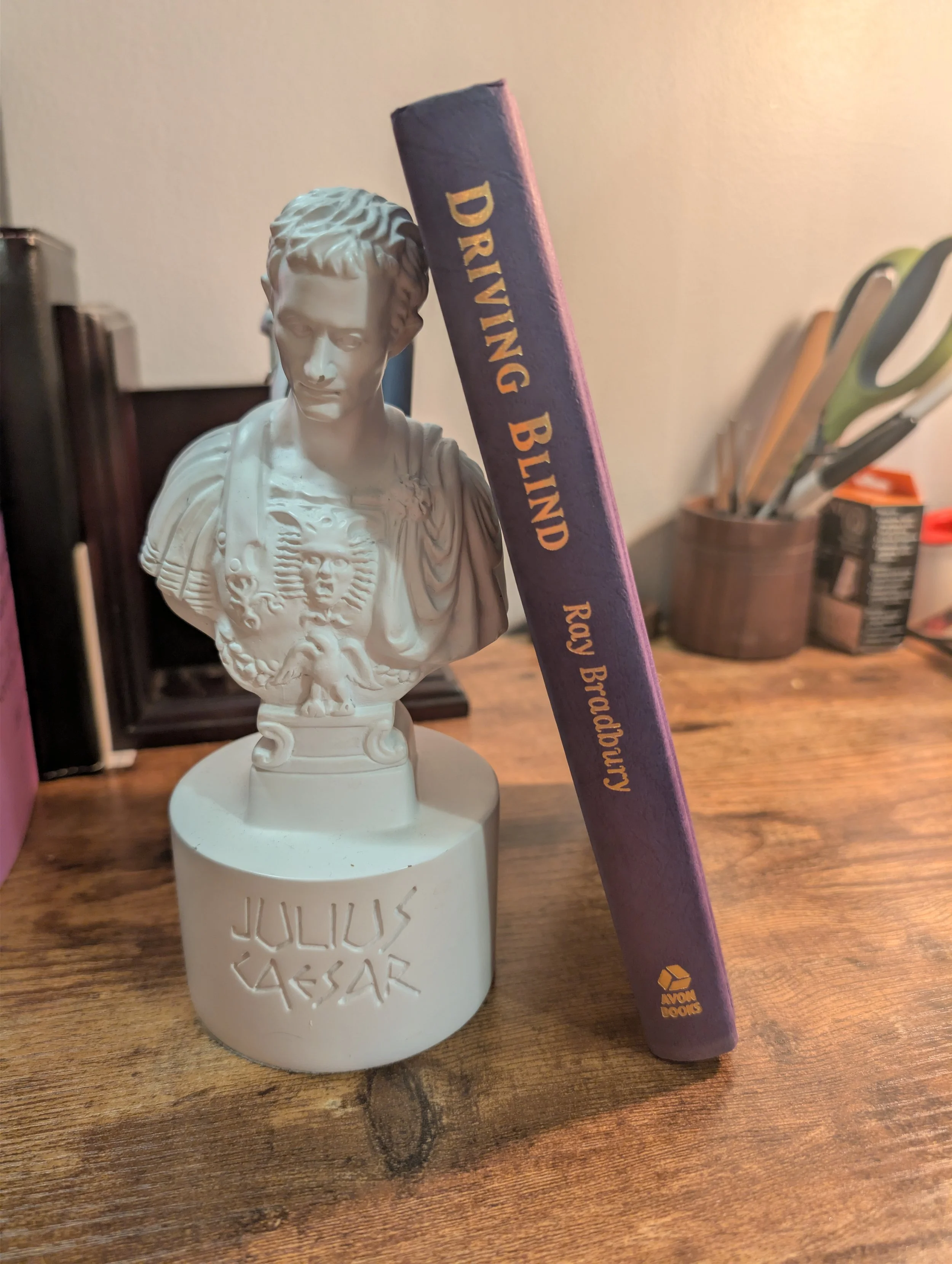 driving blind - ray bradbury - first edition - spine.jpg