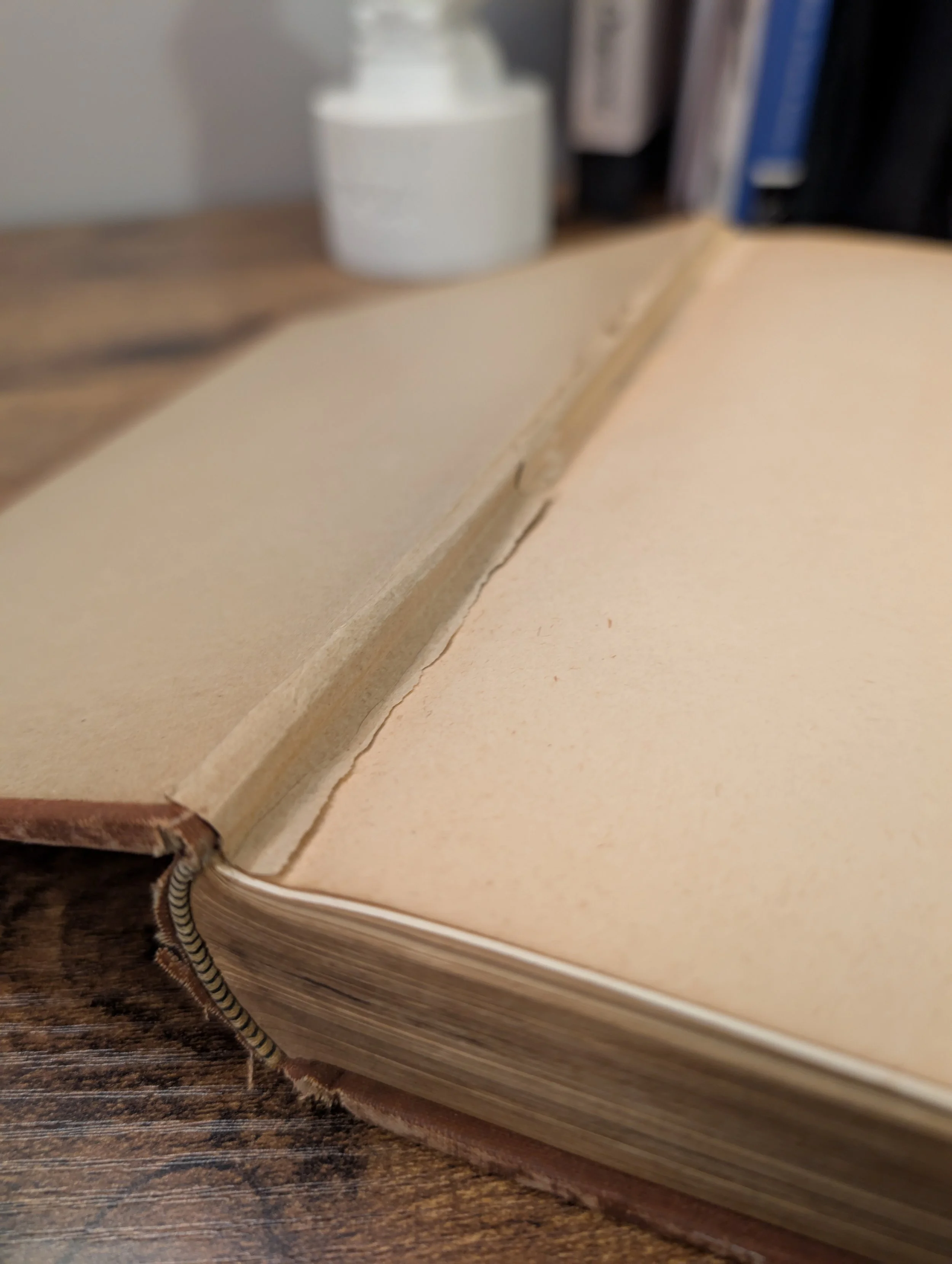 Mark Twain - Puddn'Head Wilson front endpaper