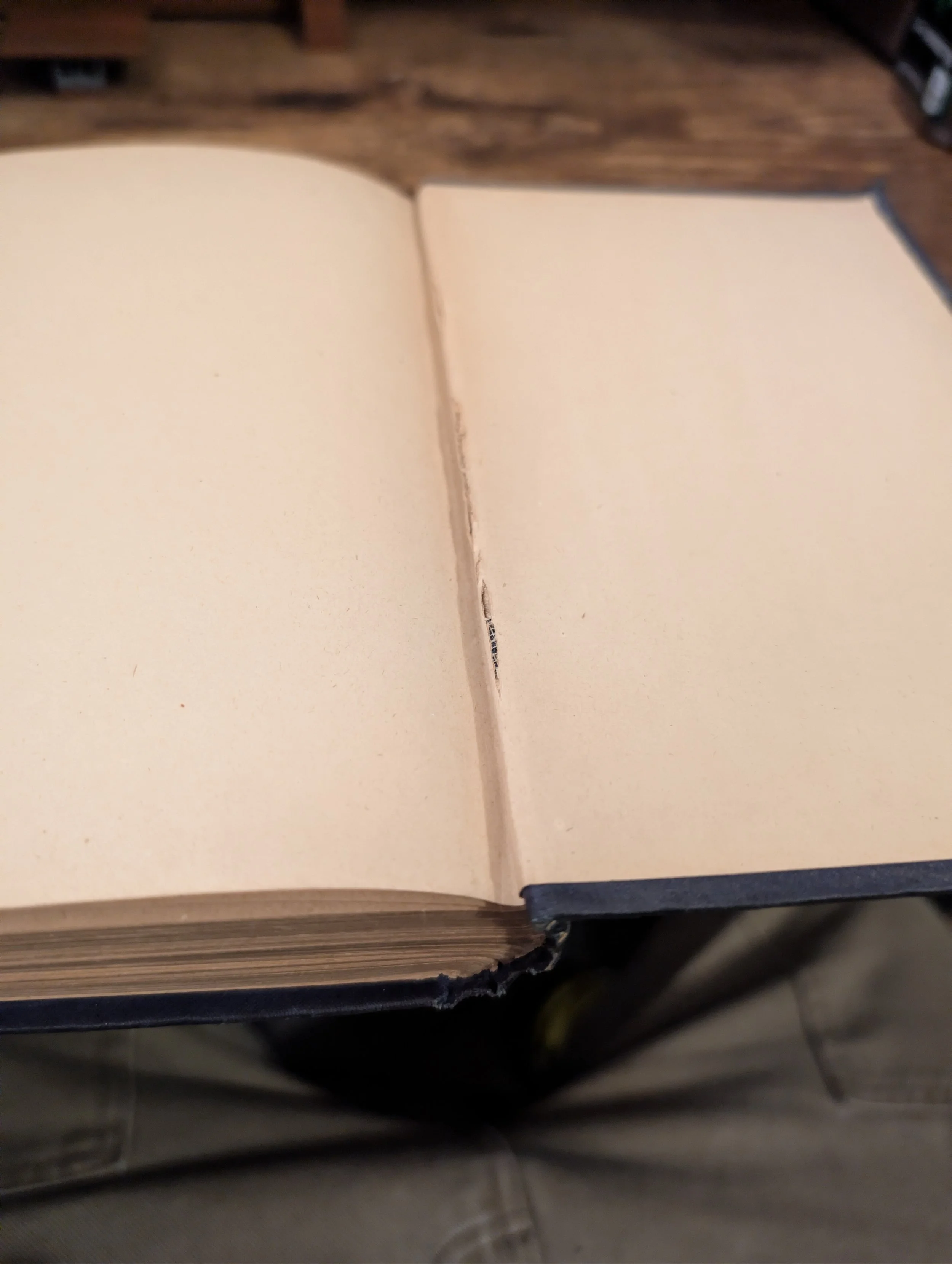 hinge damage - tour of the world in 80 days.jpg
