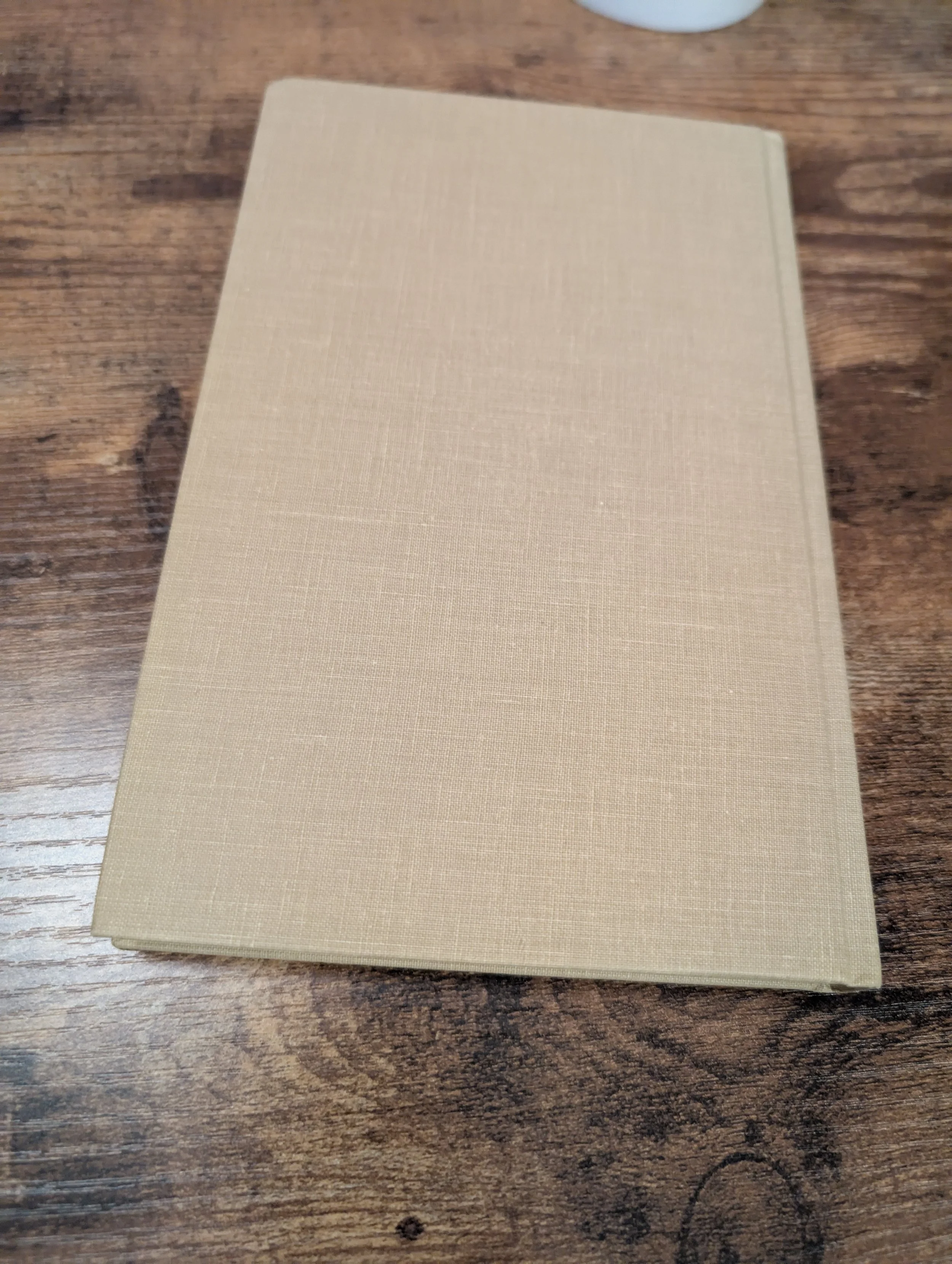 Back board - kilgore trout - venus on the half shell