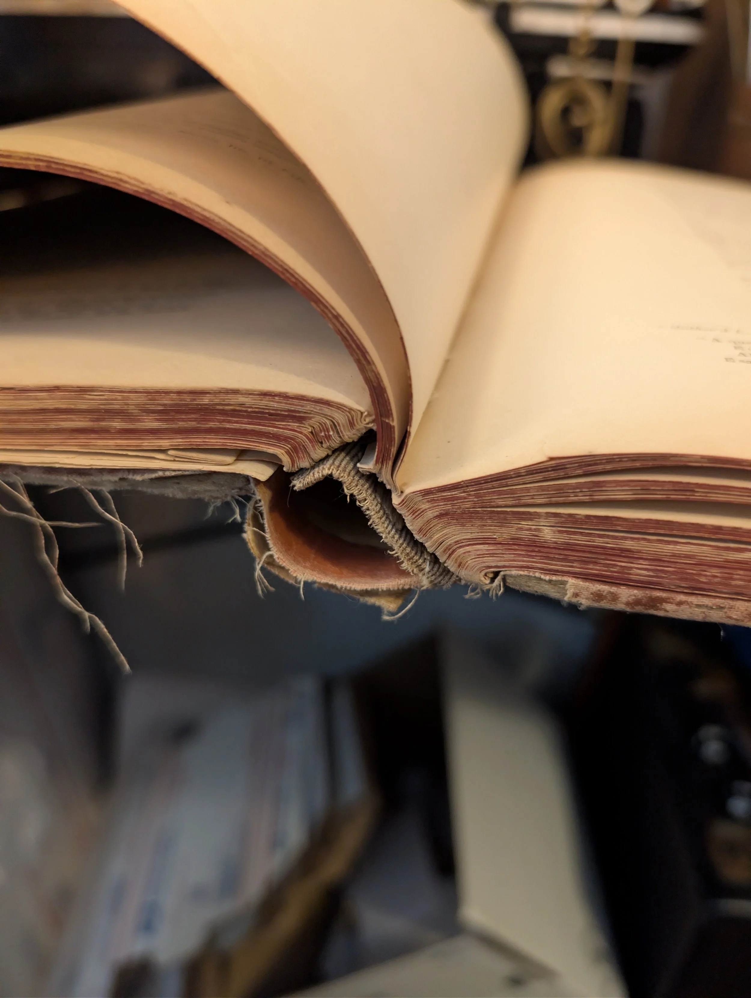 binding - dante's inferno.jpg