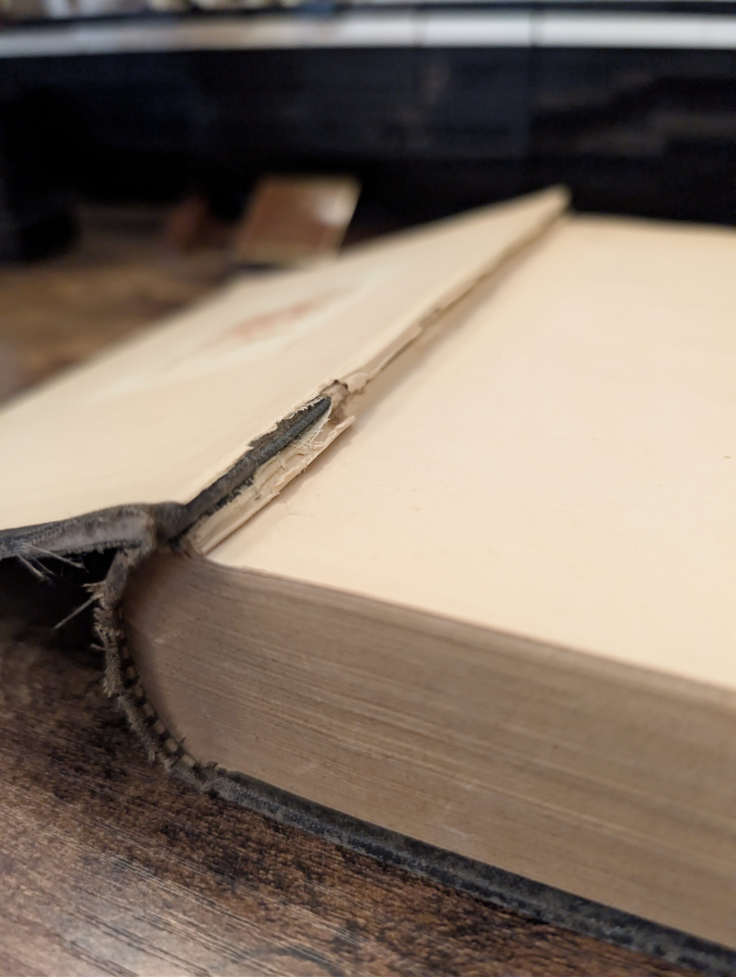 Hinge - a tramp abroad - first edition - mark twain.jpg