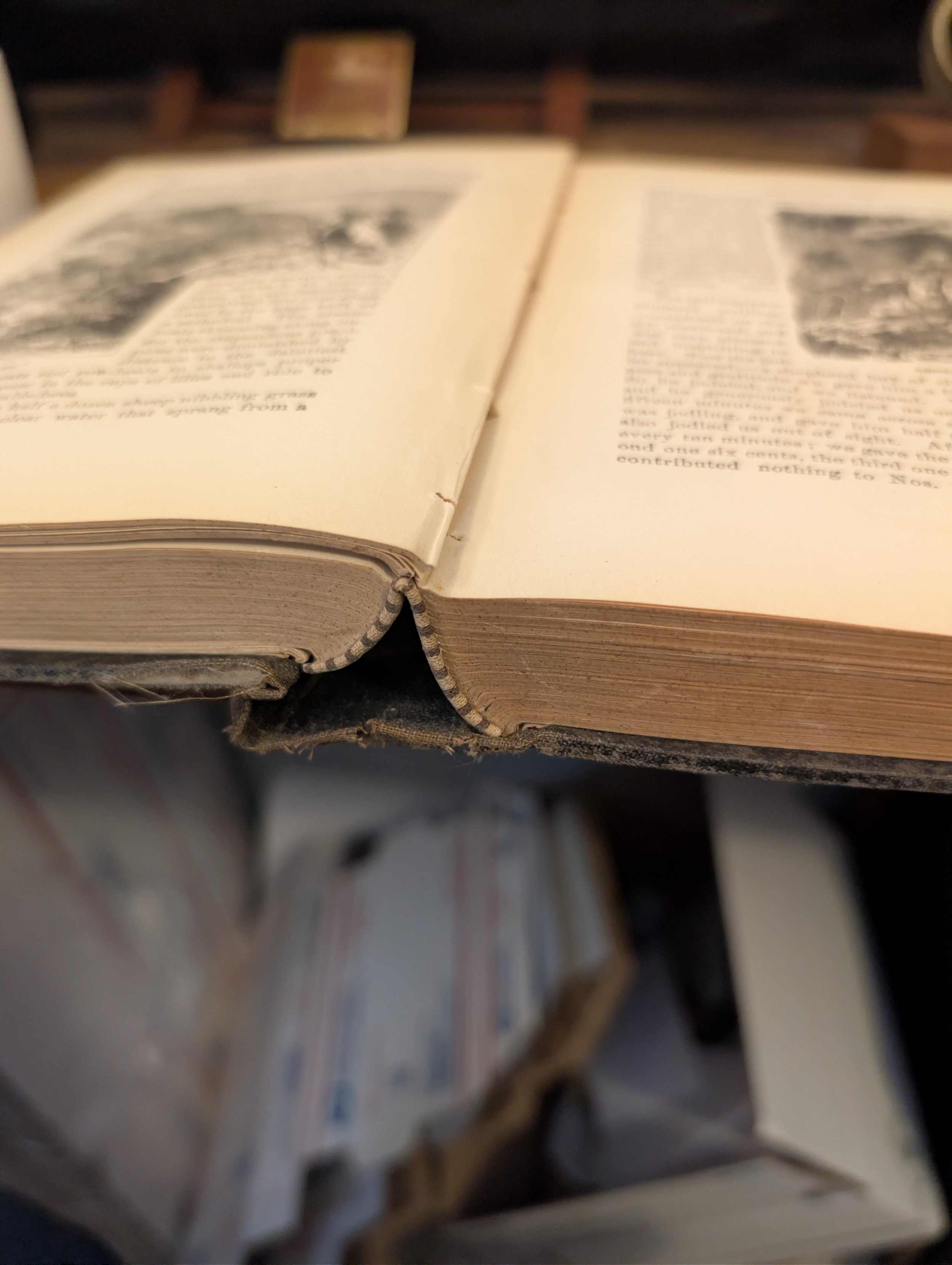 binding - a tramp abroad first edition.jpg