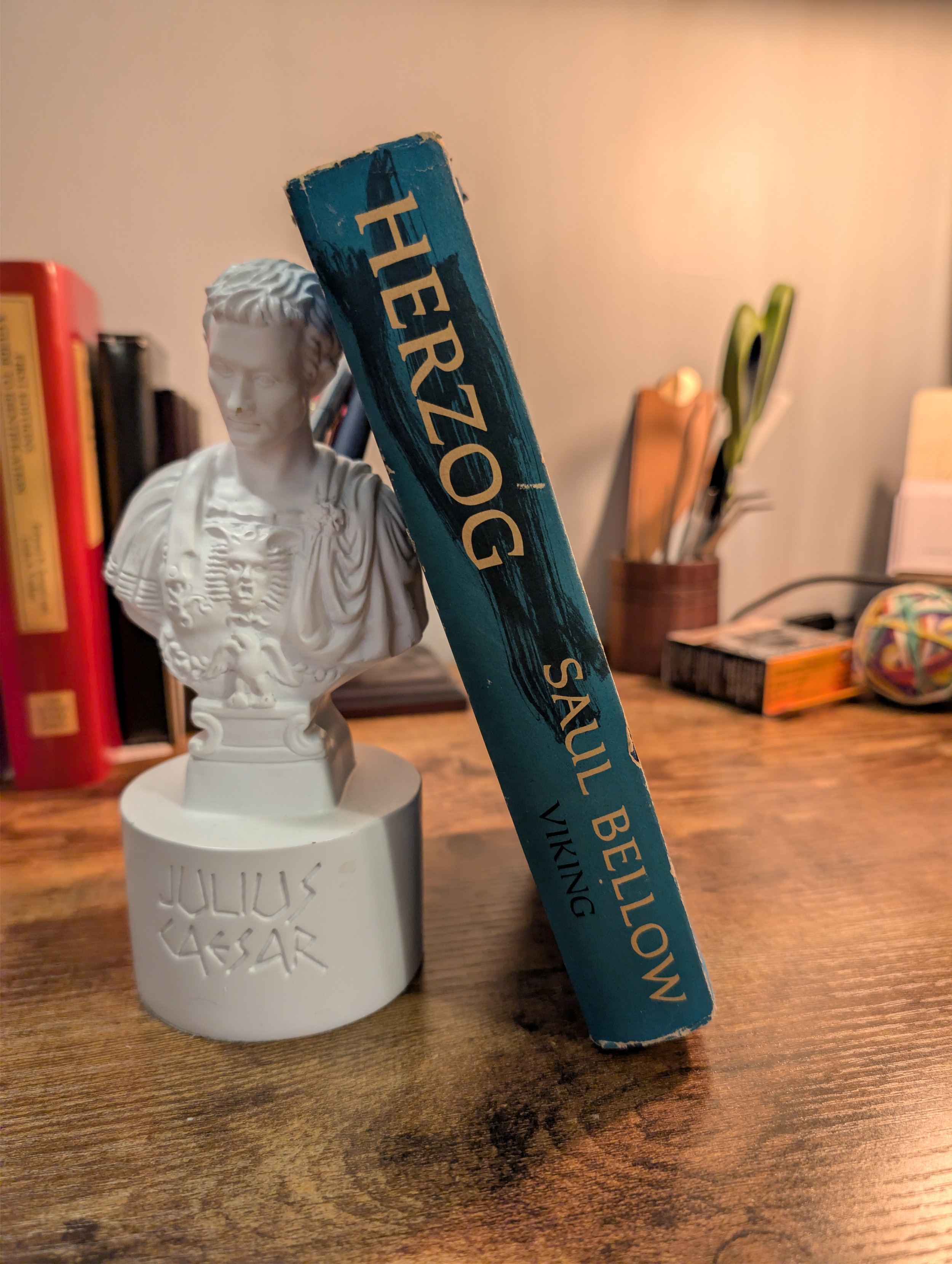 herzog-saul bellow - first edition - dj spine.jpg
