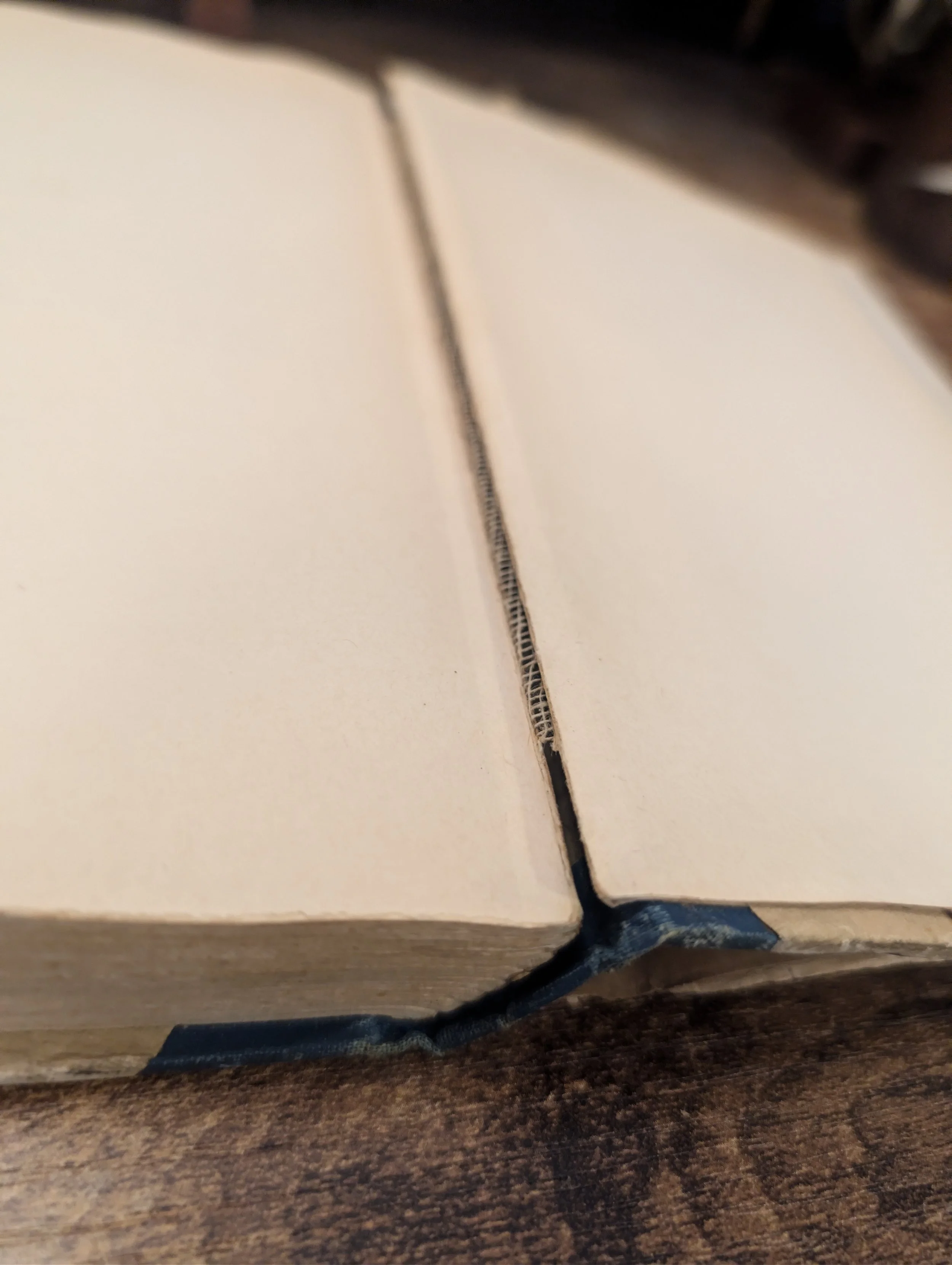 the world of A - first edition - back hinge.jpg