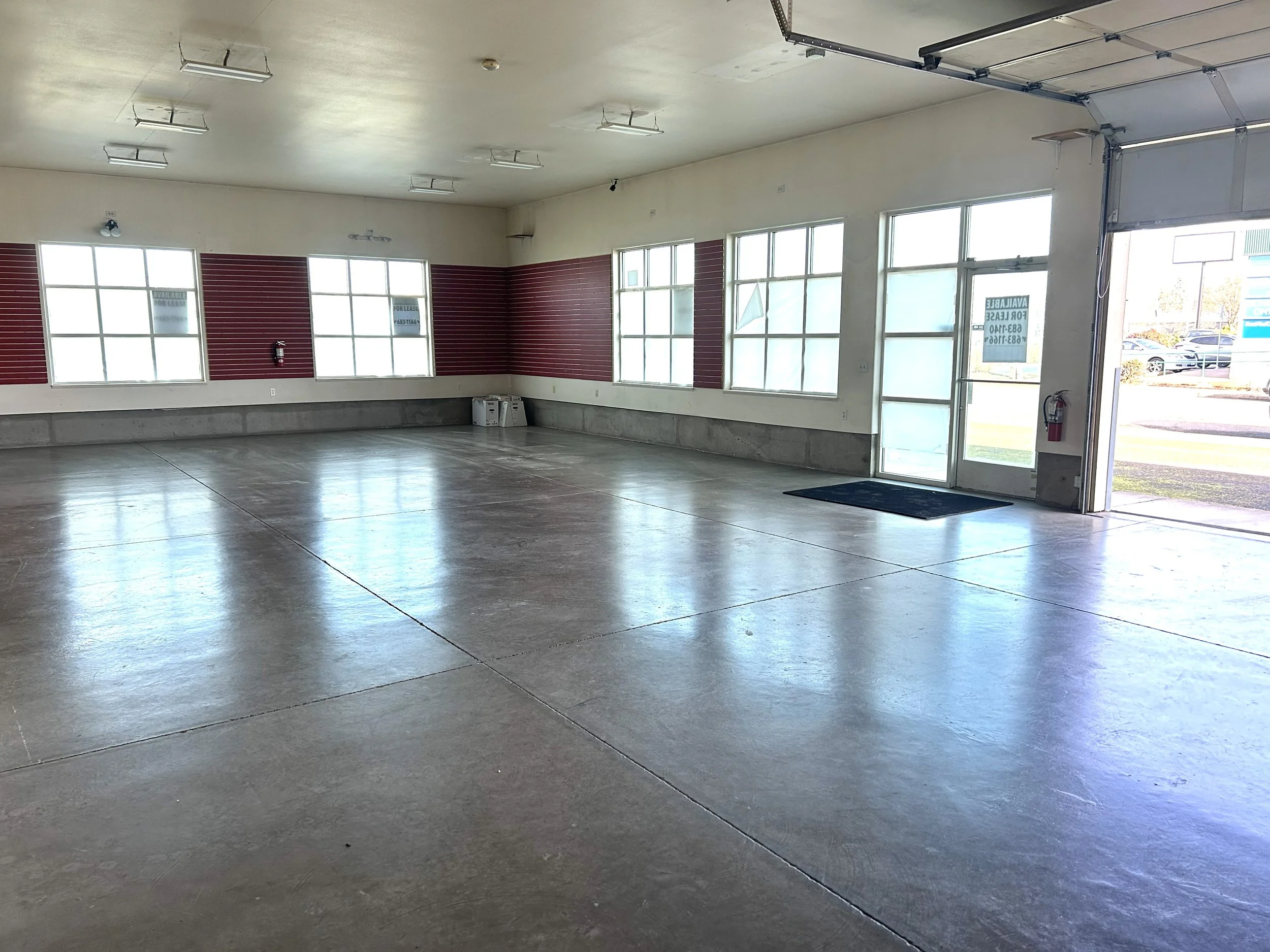 IMG_0341 edited ad.jpg