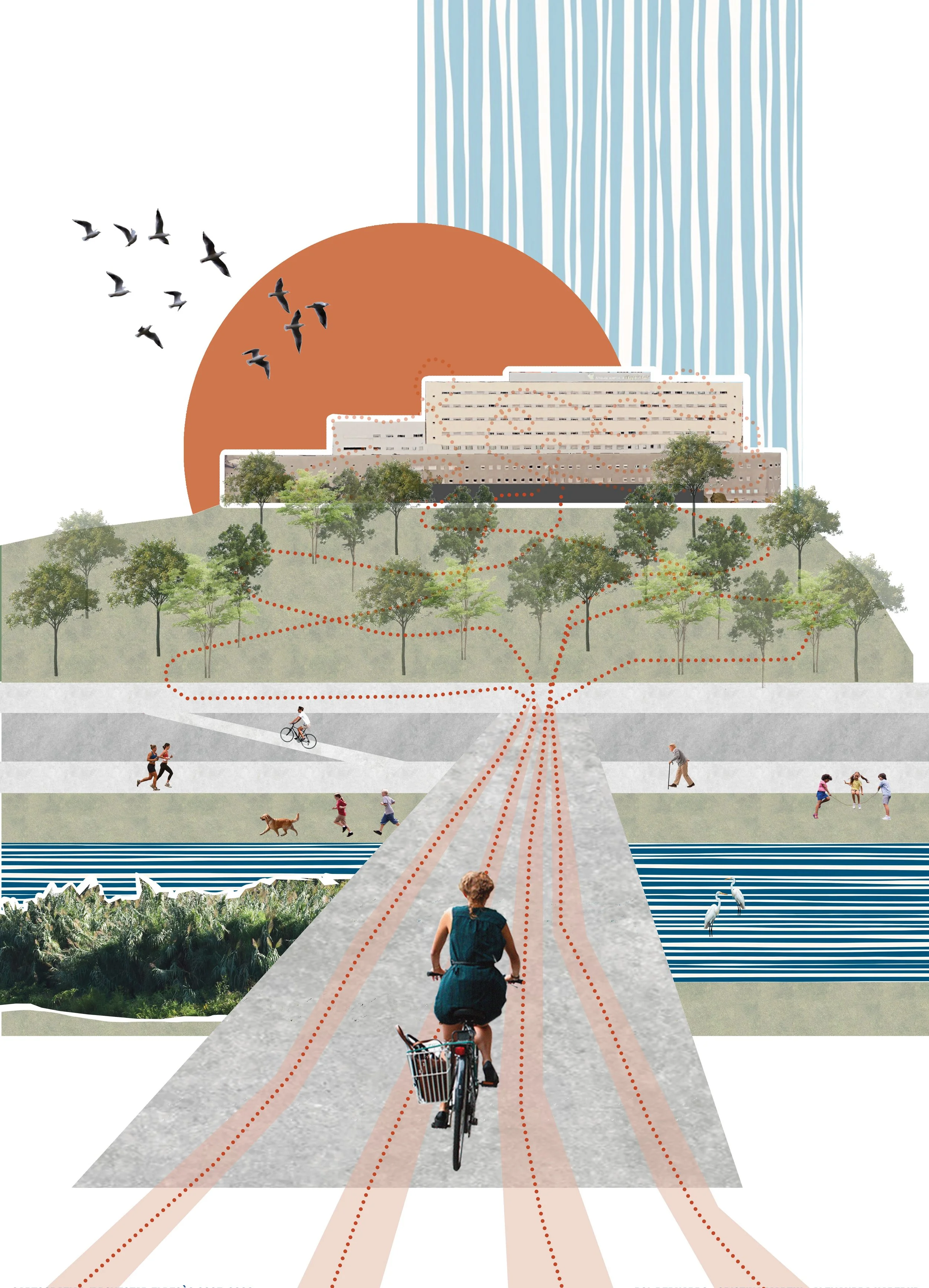Proposed Vision Collage
