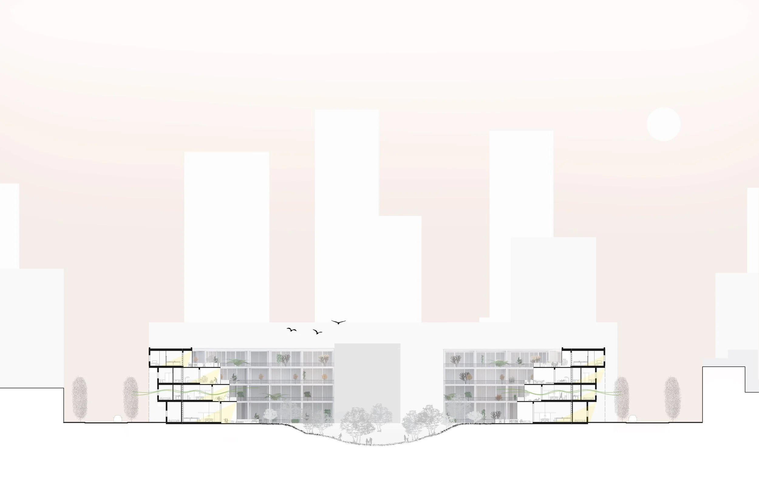 Building Section