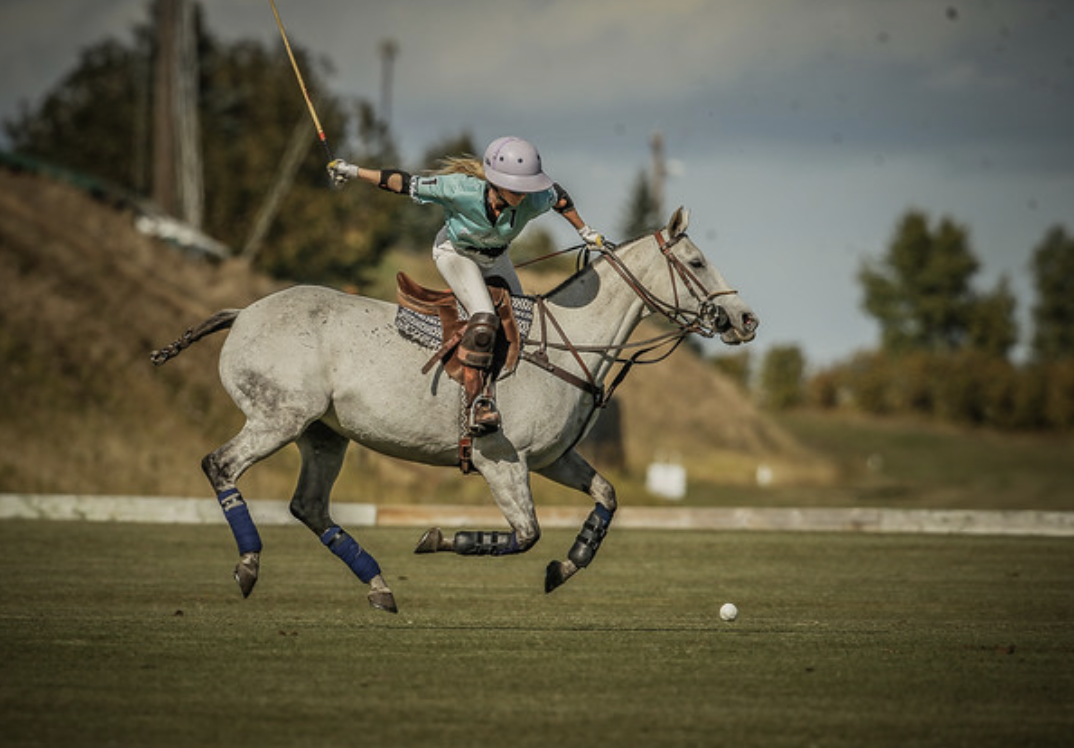 Sunday Polo: JC Palmer Finals