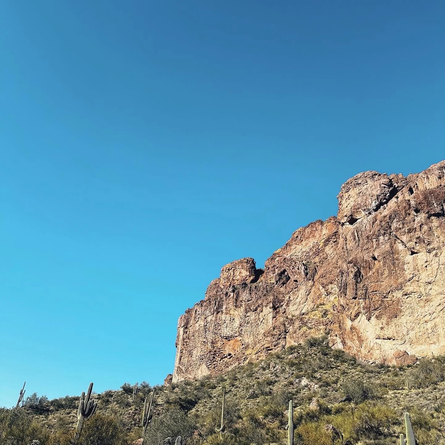 may we learn to rediscover
wonder&mdash;to see it all around us.

𝘴𝘰𝘮𝘦𝘵𝘪𝘮𝘦𝘴, 𝘸𝘦 𝘫𝘶𝘴𝘵 𝘯𝘦𝘦𝘥 𝘵𝘰 𝘭𝘰𝘰𝘬 𝘶𝘱. 
&mdash;
this year, I&rsquo;m working to slow down and pay attention to the wild and the wonder all around. less screens,