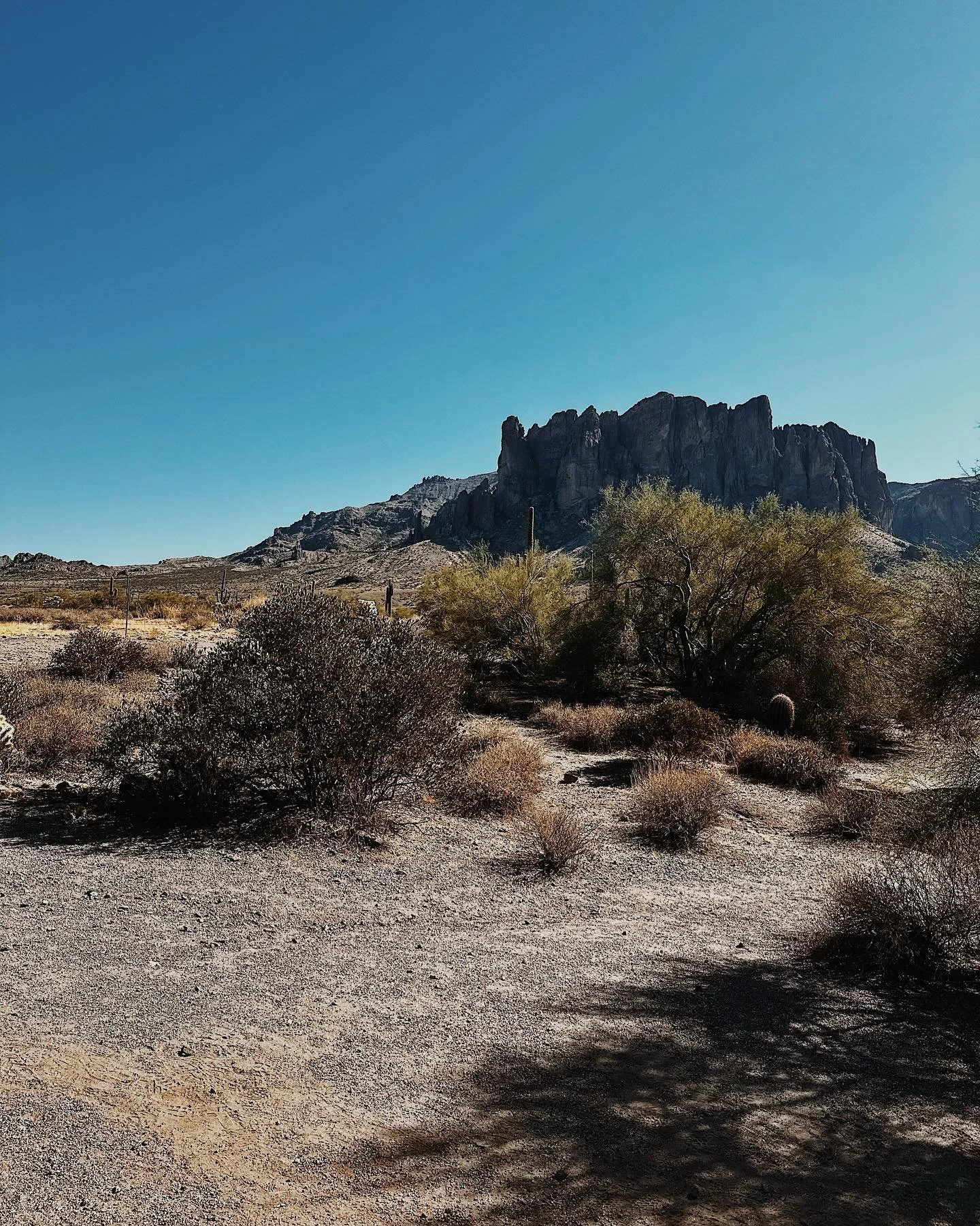 in my years, i have
learned it is best
to embrace forced rest.

that sometimes, it is
the best kind of rest&mdash;
drawing us into humble,
slow communion.

𝘳𝘦𝘴𝘵𝘰𝘳𝘢𝘵𝘪𝘰𝘯.