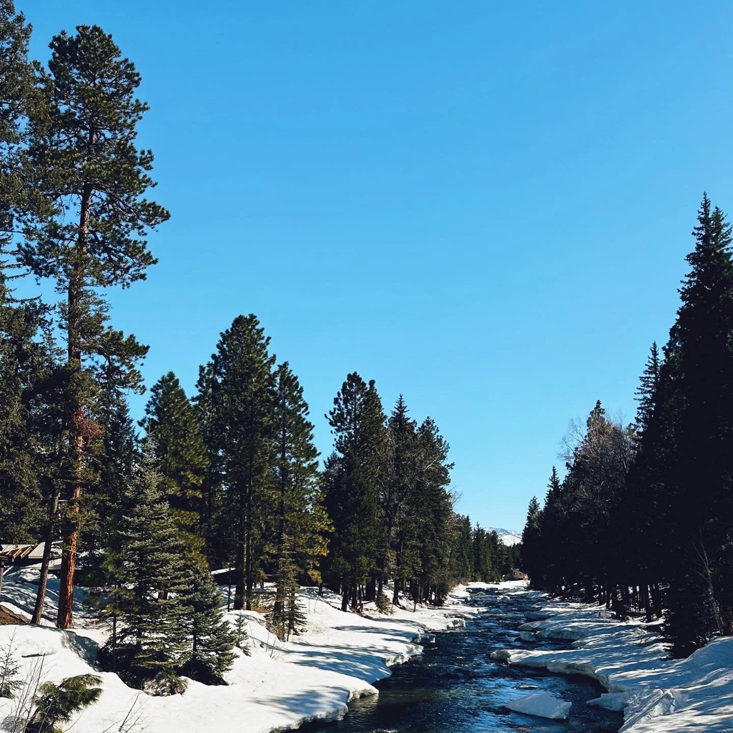 ***

in the winter earth,
life grows in darkness&mdash;
reaching for the light.

and so this life goes,
that even in darkness&mdash;
hope remains.

[thoughts that have been swirling as we&rsquo;ve traveled from winter to spring, yet been reminded fre