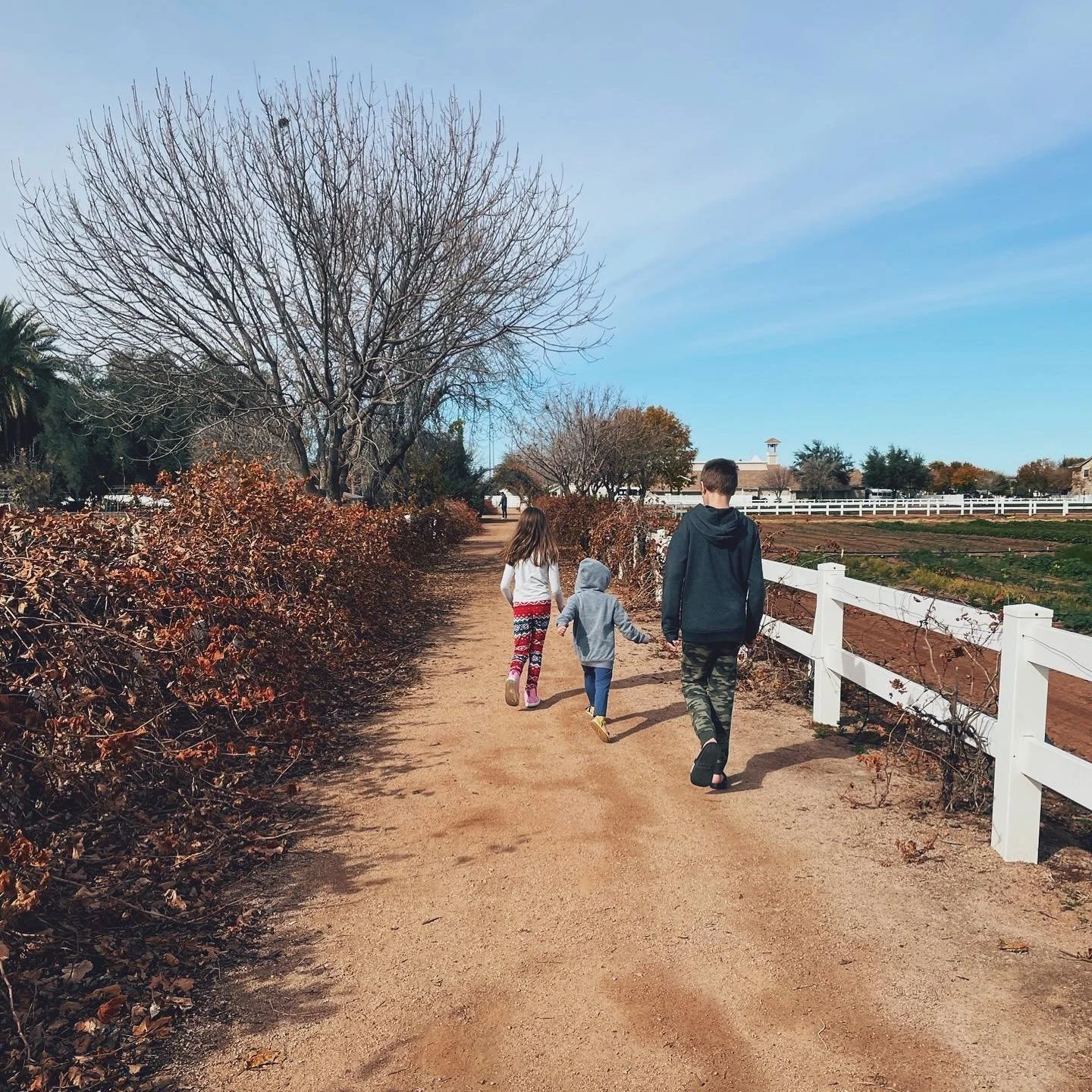 🌱

spring is coming&mdash;
the earth warms again,
bringing growth
to the land, 
and somehow
each of them&mdash;

𝘵𝘪𝘮𝘦, 𝘴𝘭𝘰𝘸 𝘥𝘰𝘸𝘯. 

#twentywordtuesday