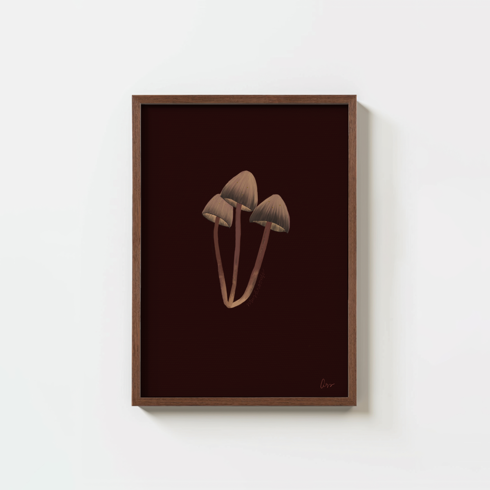 The Mushrooms