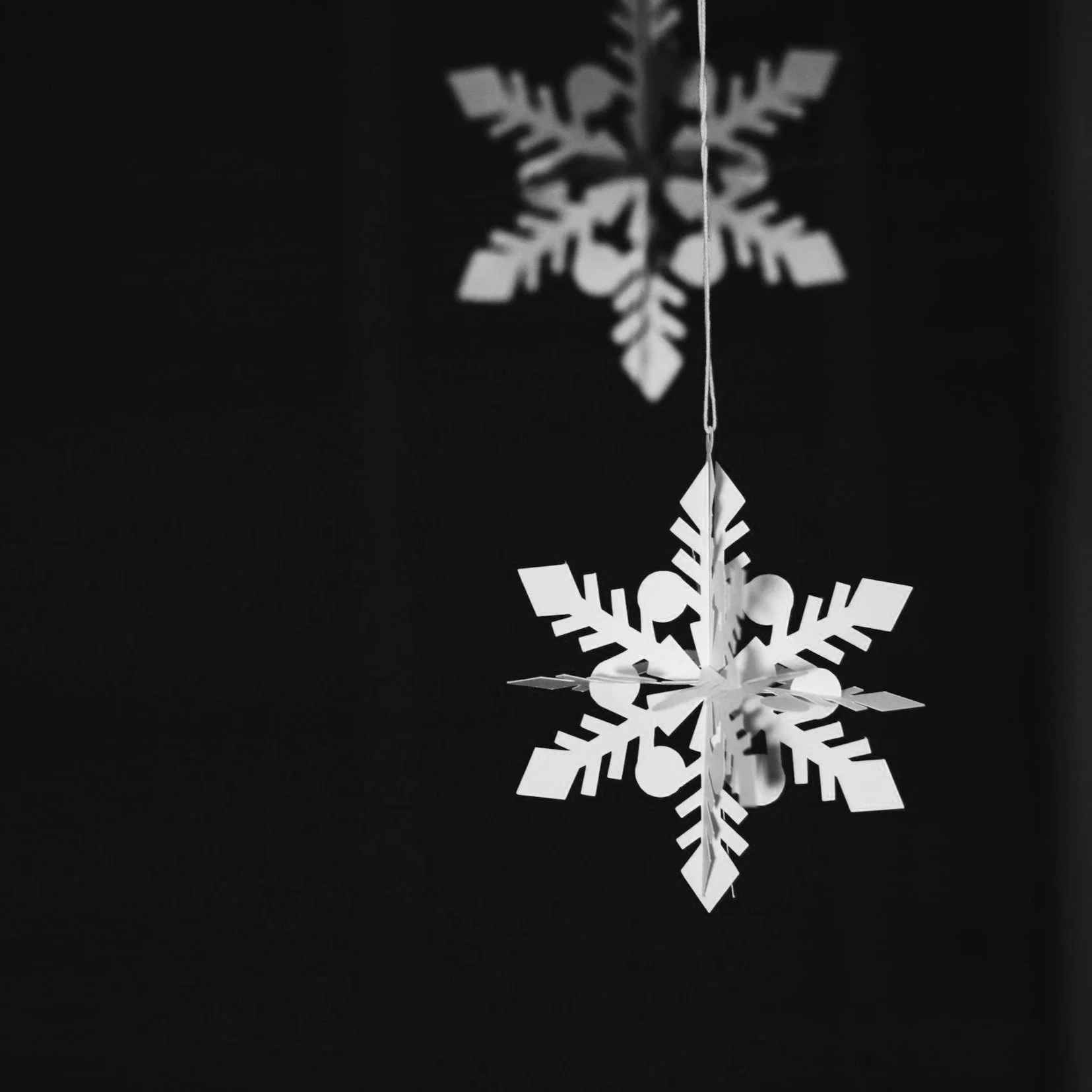 A Season of Gratitude and Renewal