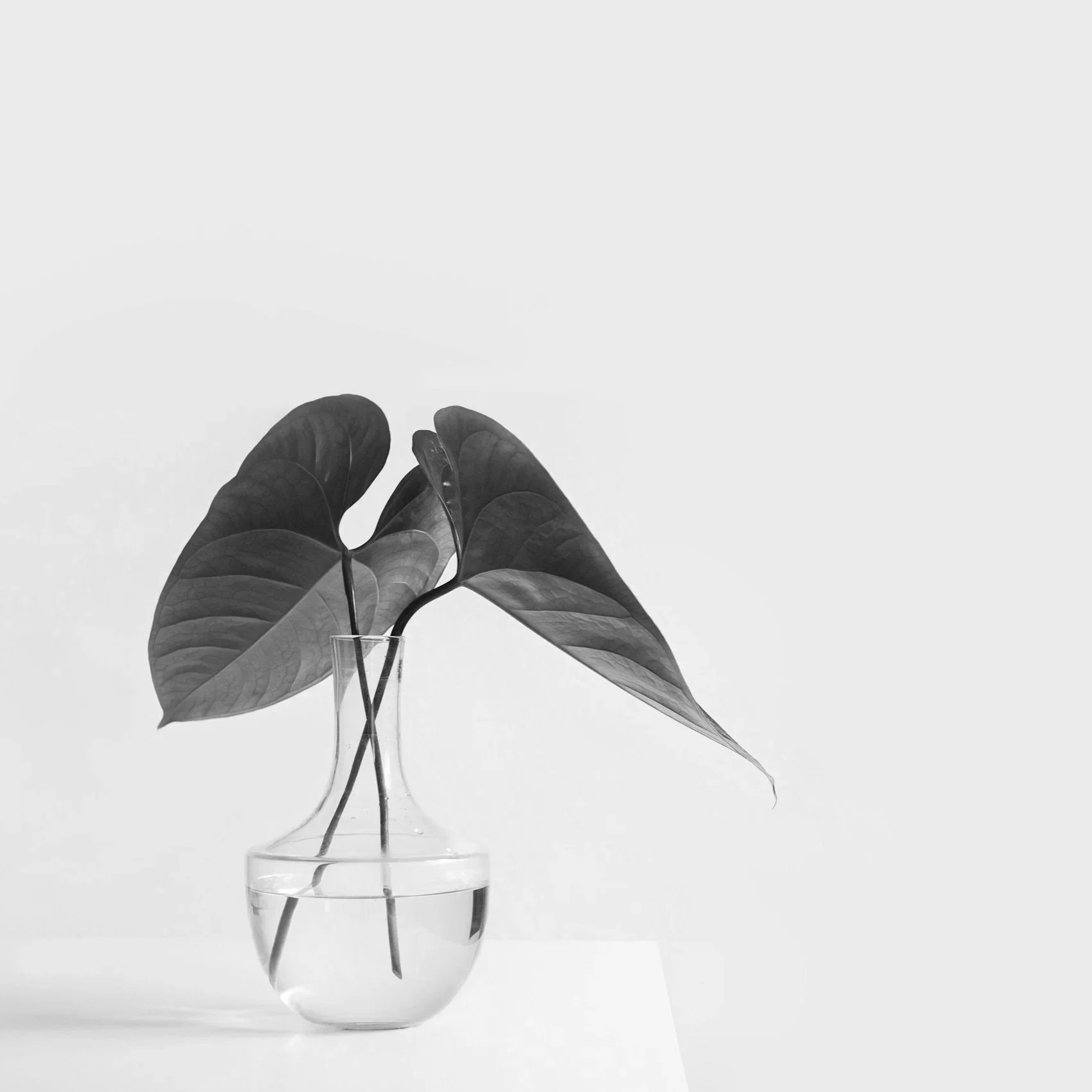 Minimalism isn’t aesthetic. It’s survival.