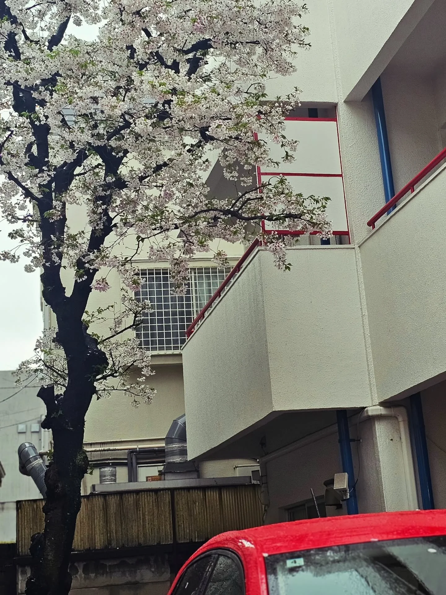 TONAFU代官山の外観は可愛い。