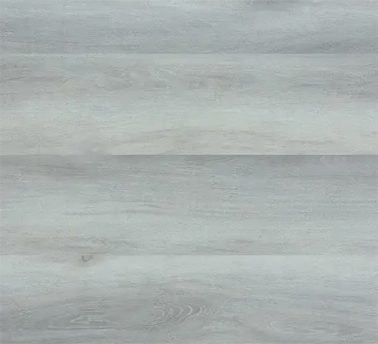 Grey Forest