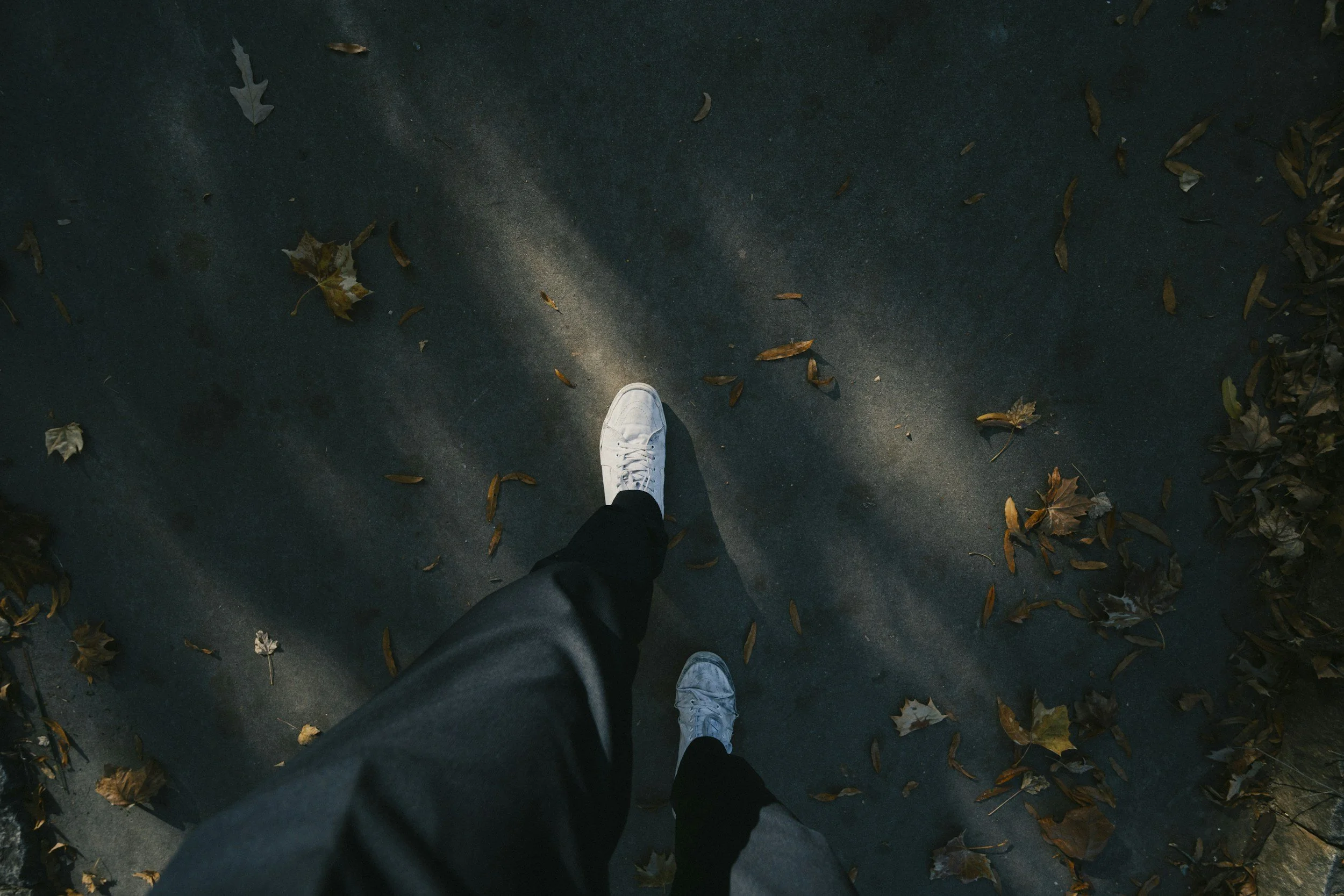 Image representing walking for walk and talk therapy in Kansas City, Missouri