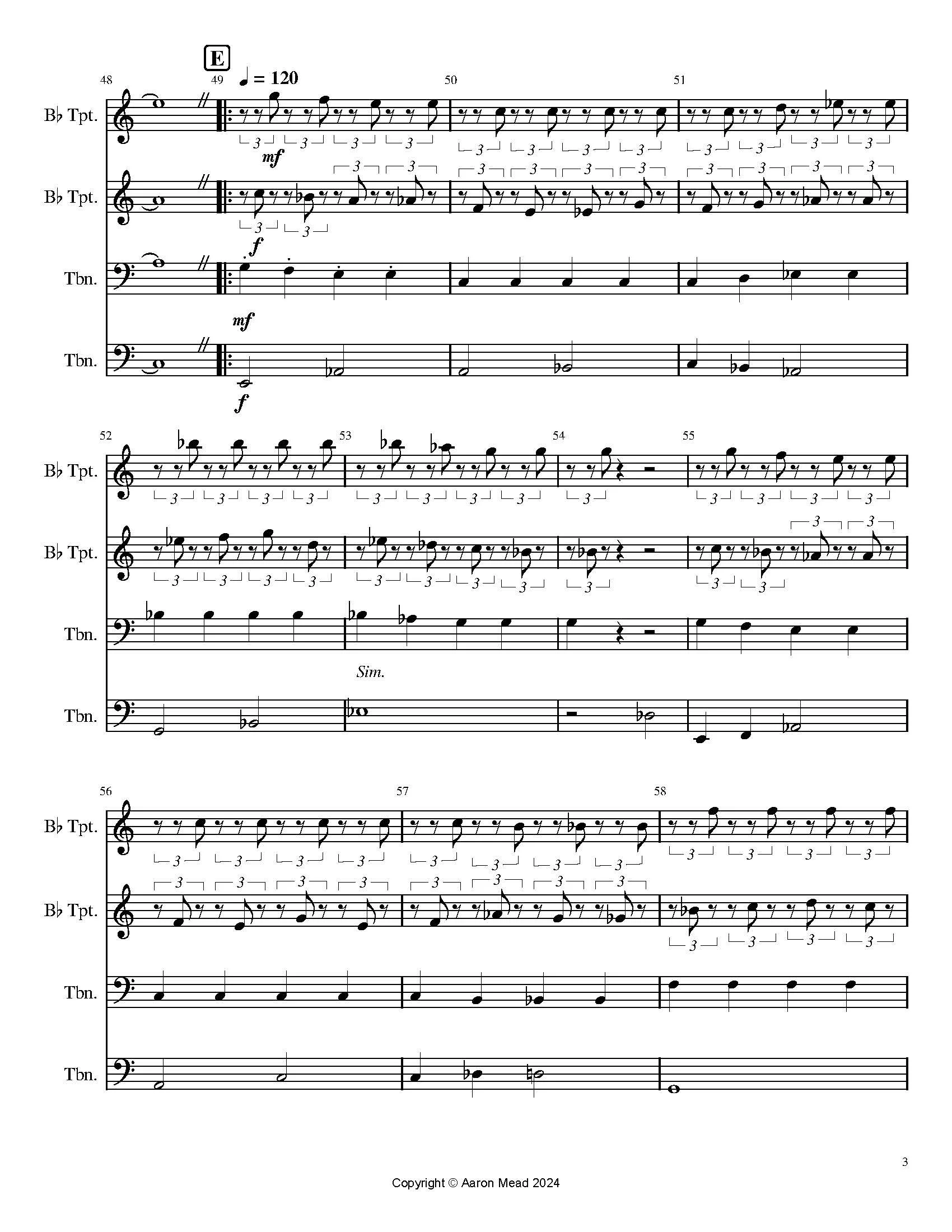 Variations on Willows_Page_3.jpg