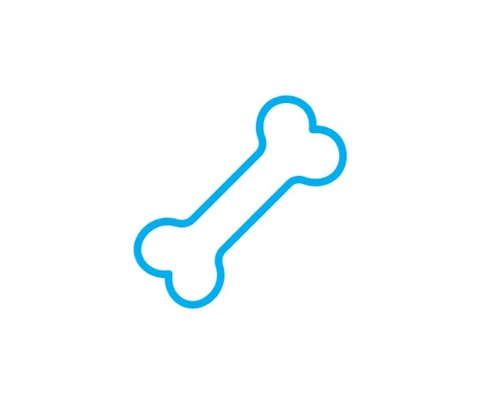 Outline of a bone in blue on a white background