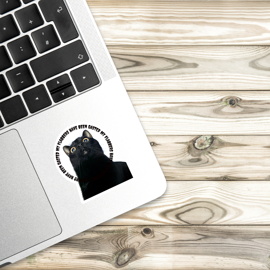 Funny Black Cat Meme Sticker