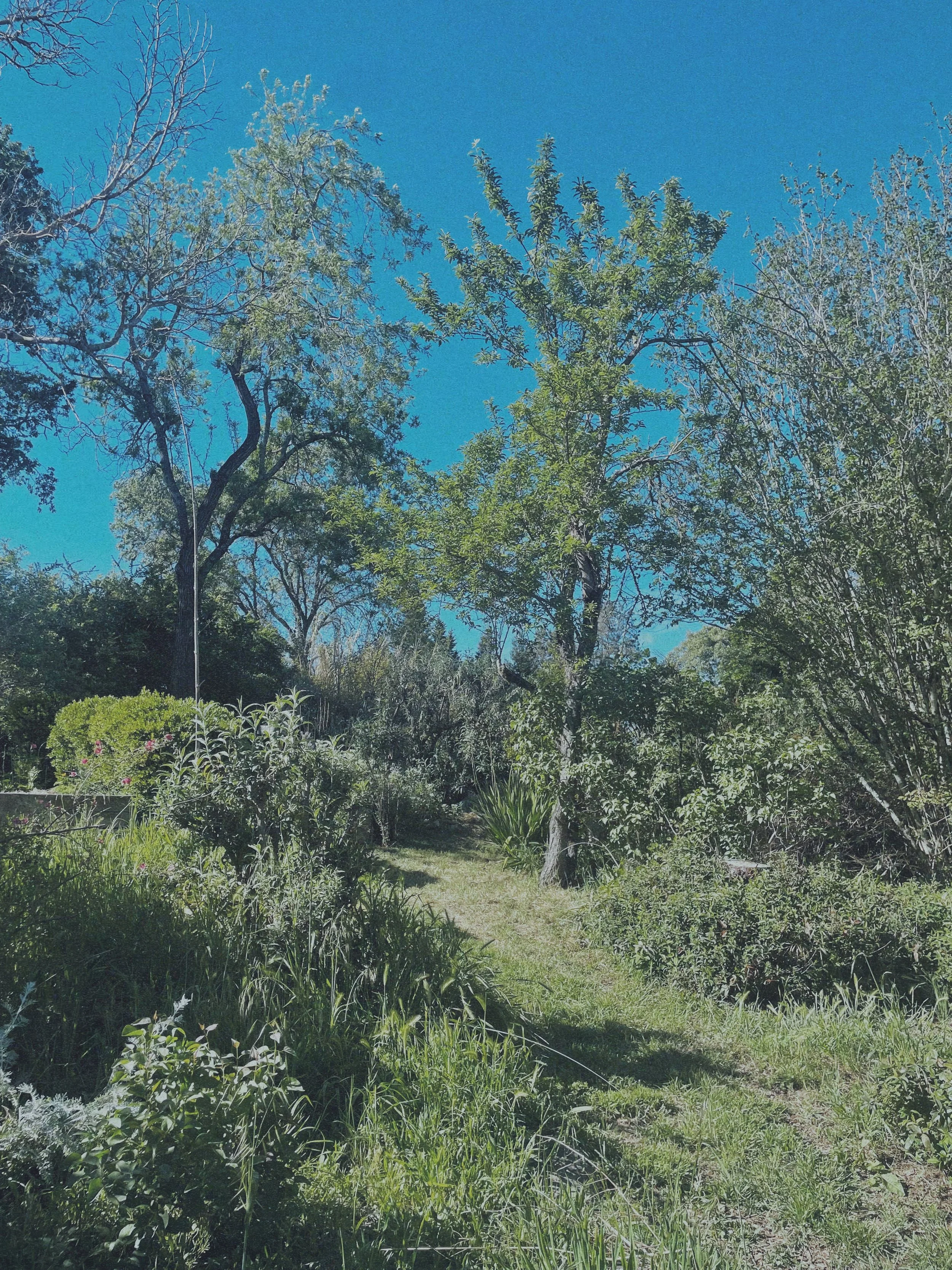Homebody: April Daylong Immersion