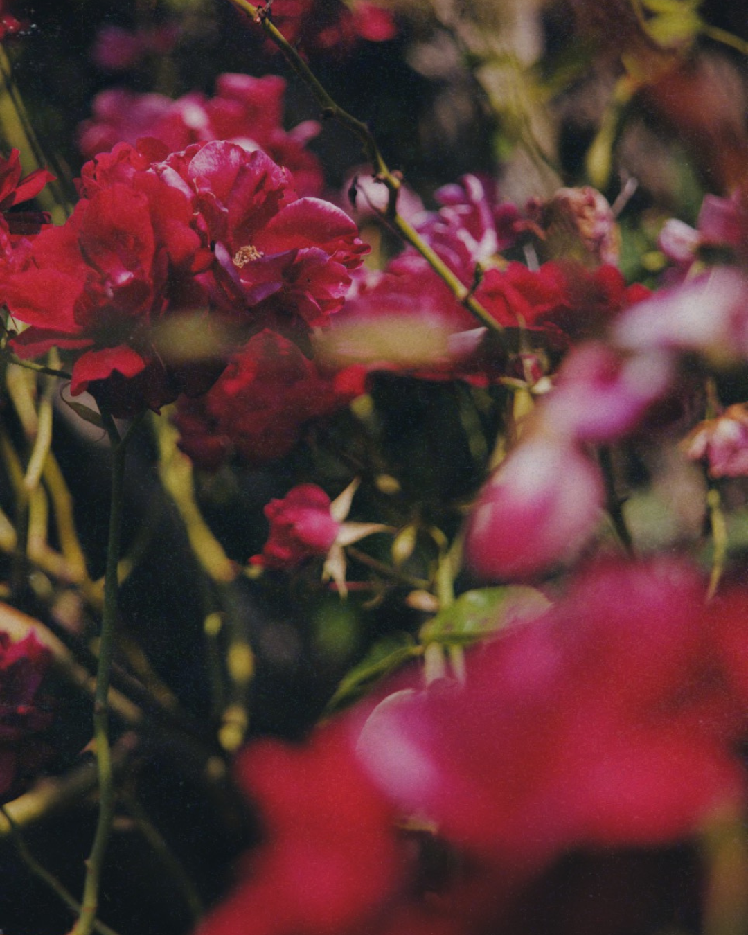 Nurture: September Daylong Immersion