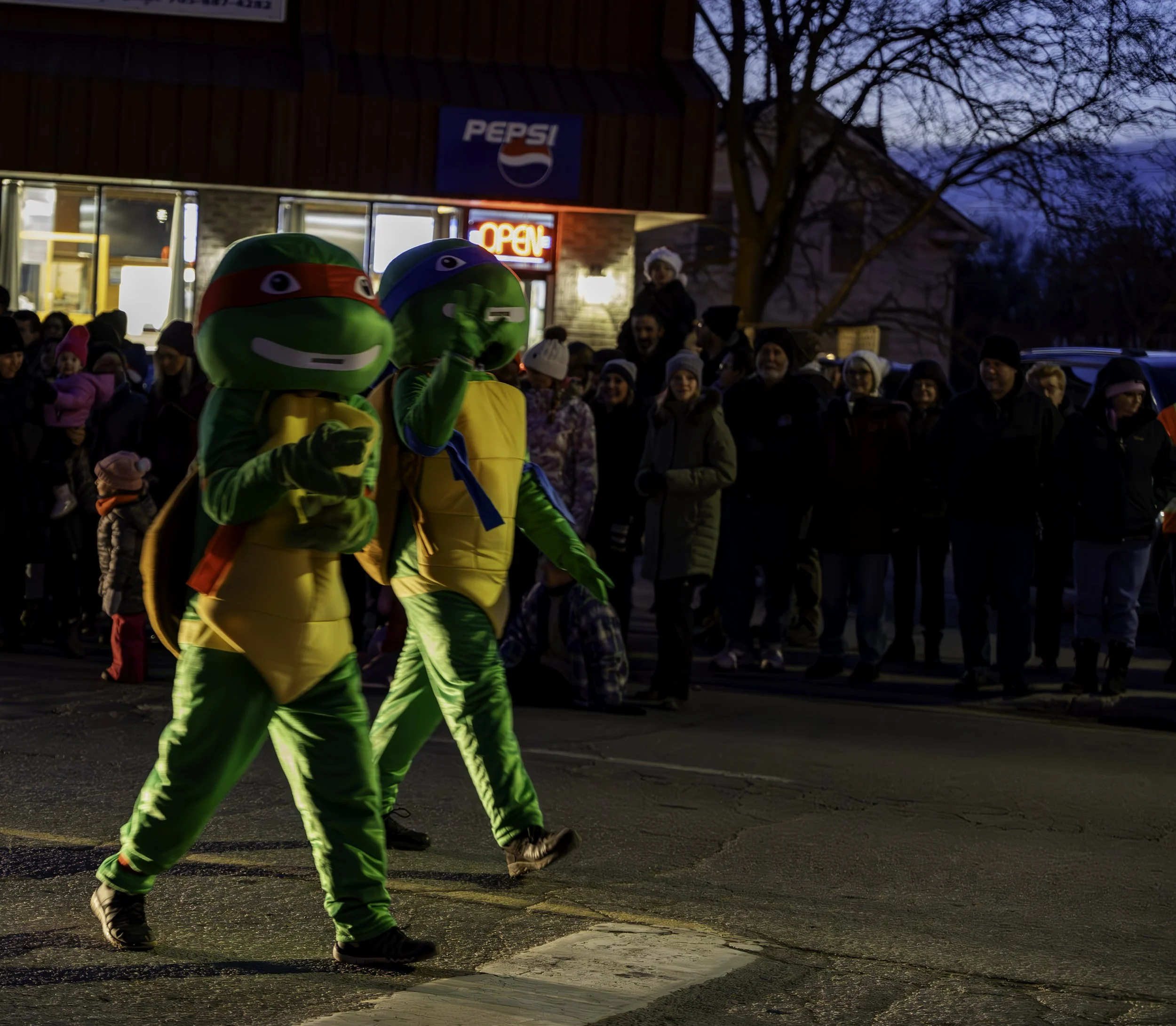 Parade_Walker_2.jpg