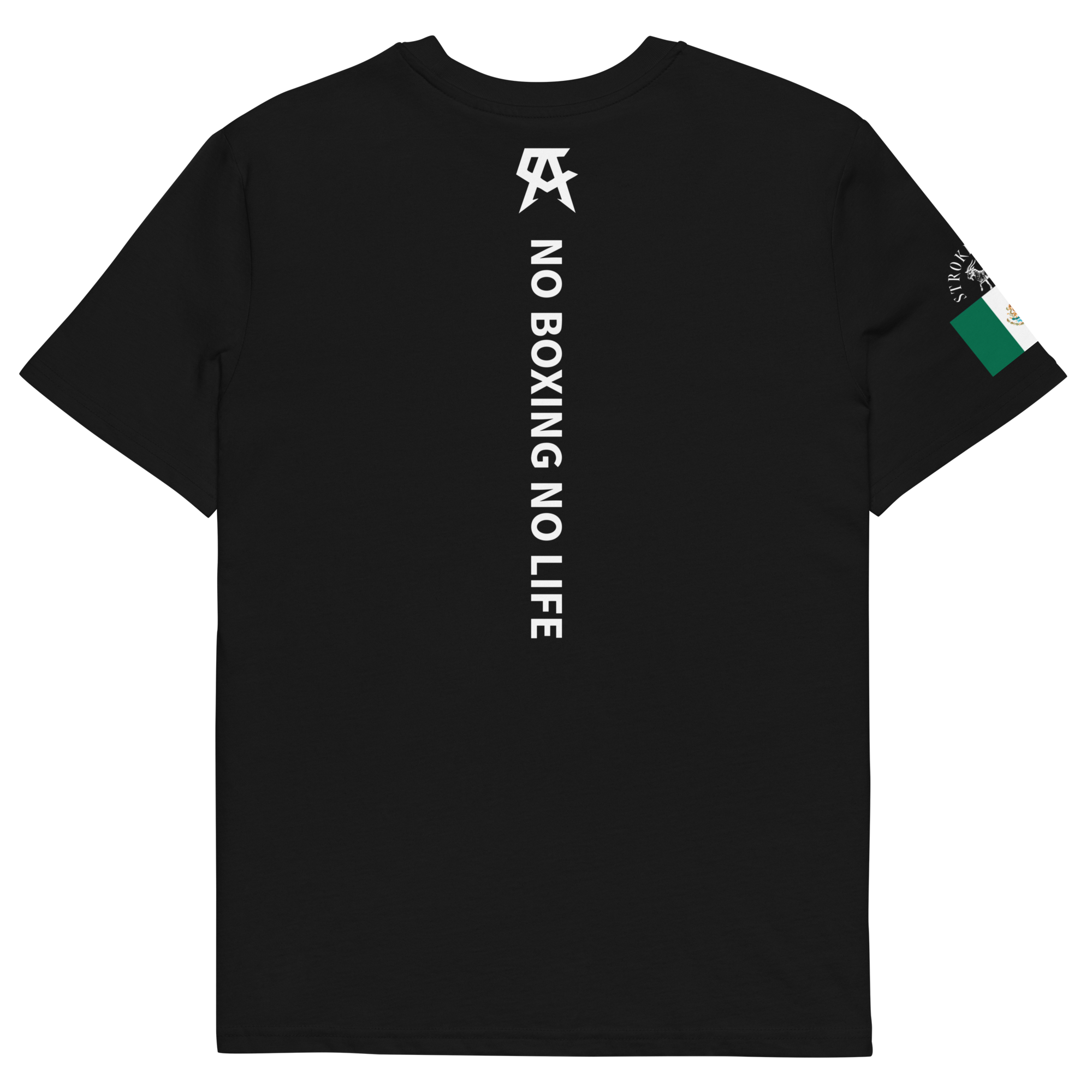 unisex-organic-cotton-t-shirt-black-back-67251a1e61403.png