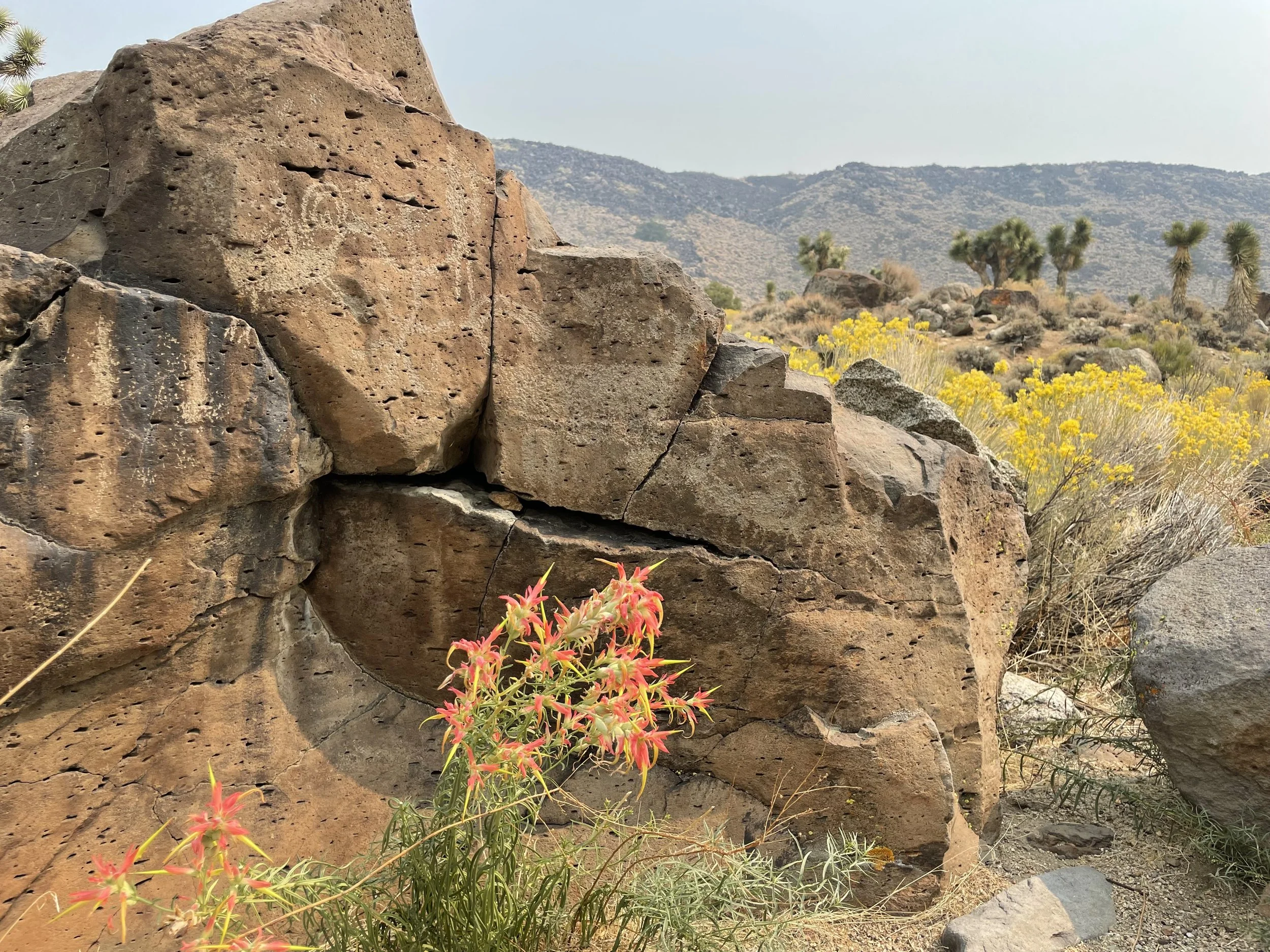 The beauty of working together