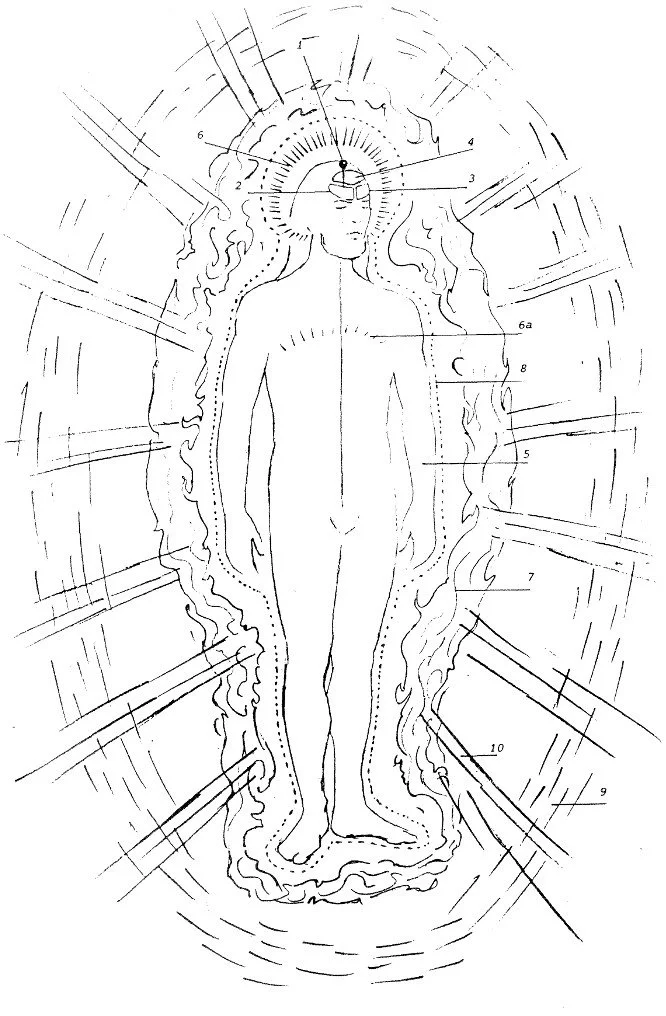 The Ten Bodies